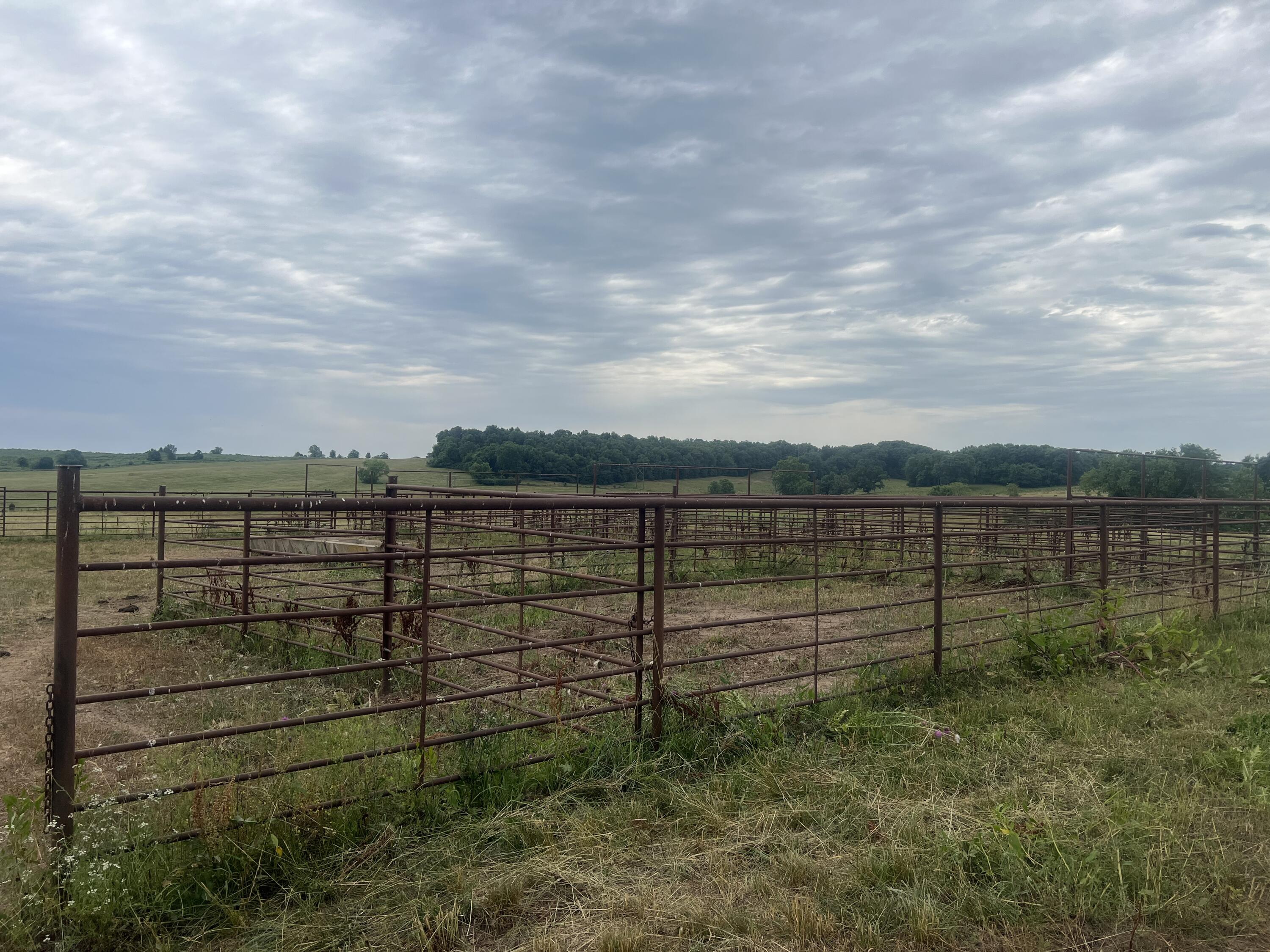Photo 7 - Land for sale – 006  County Road 14   Aldrich, MO