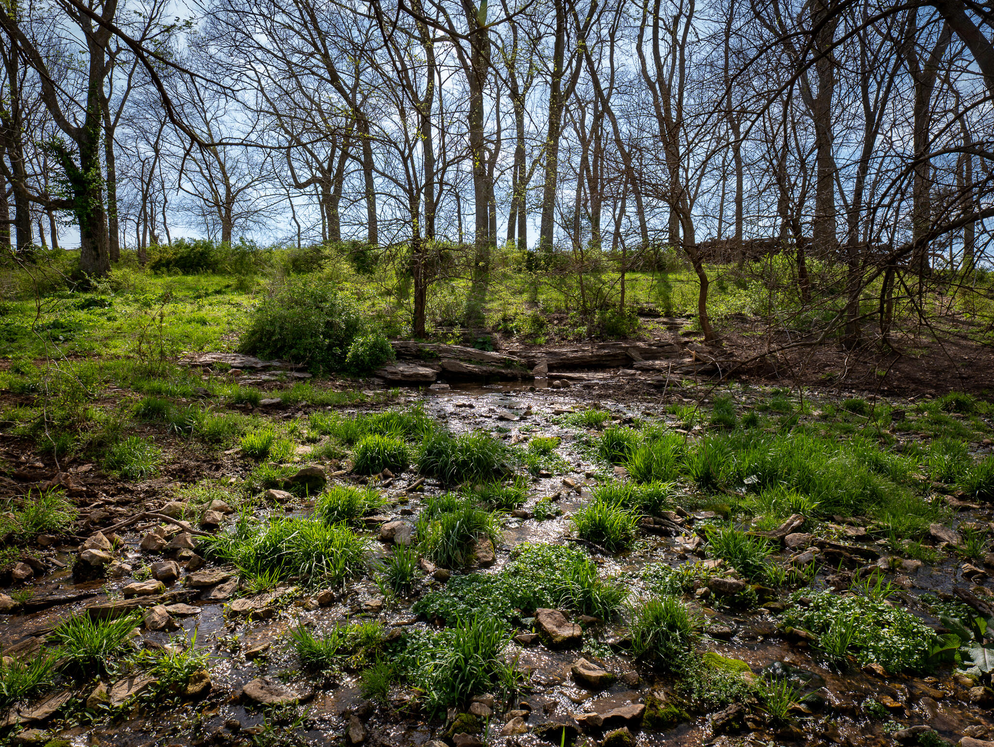 Photo 10 - Land for sale – 006  County Road 14   Aldrich, MO