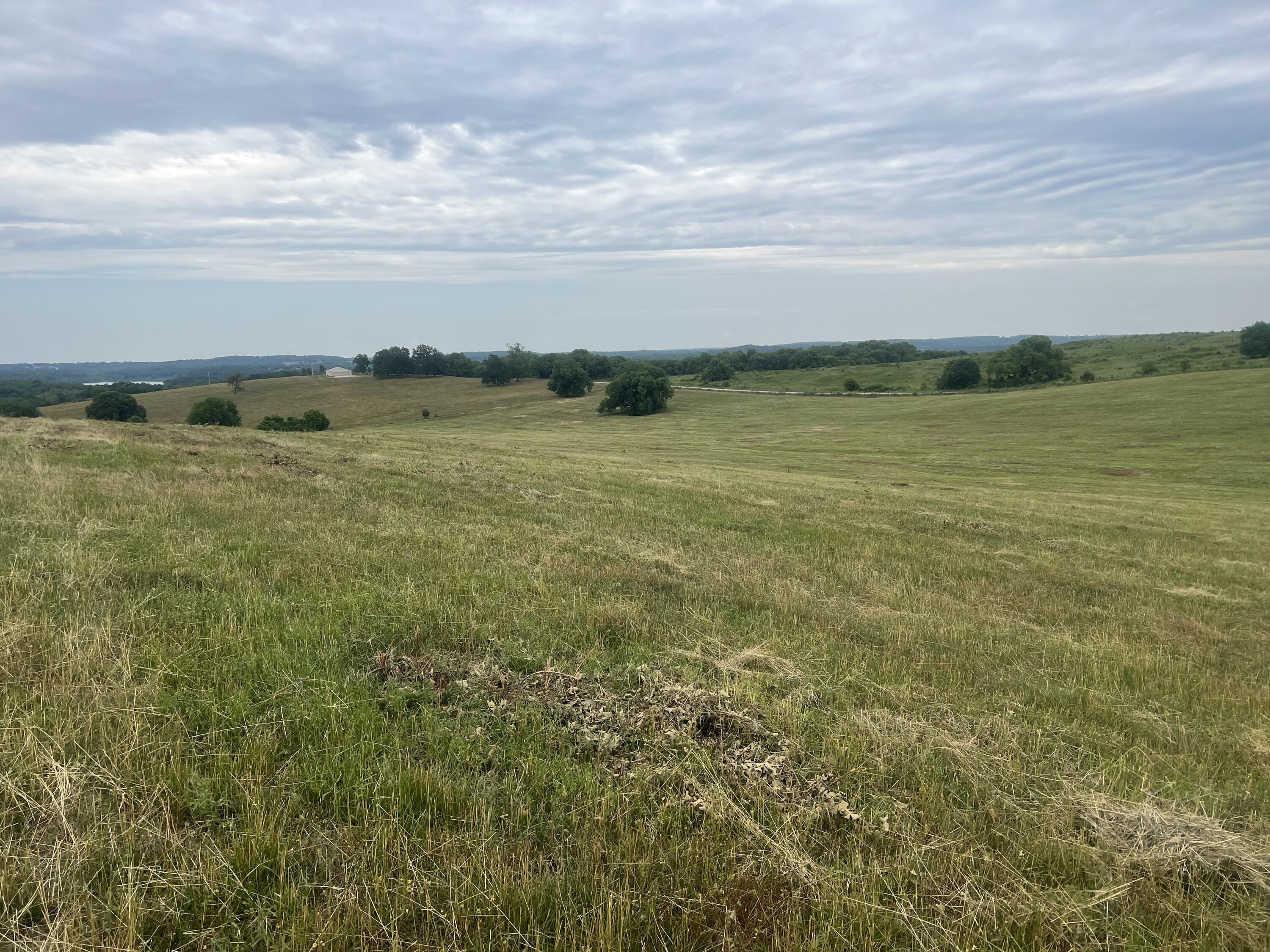 Photo 14 - Land for sale – 006  County Road 14   Aldrich, MO