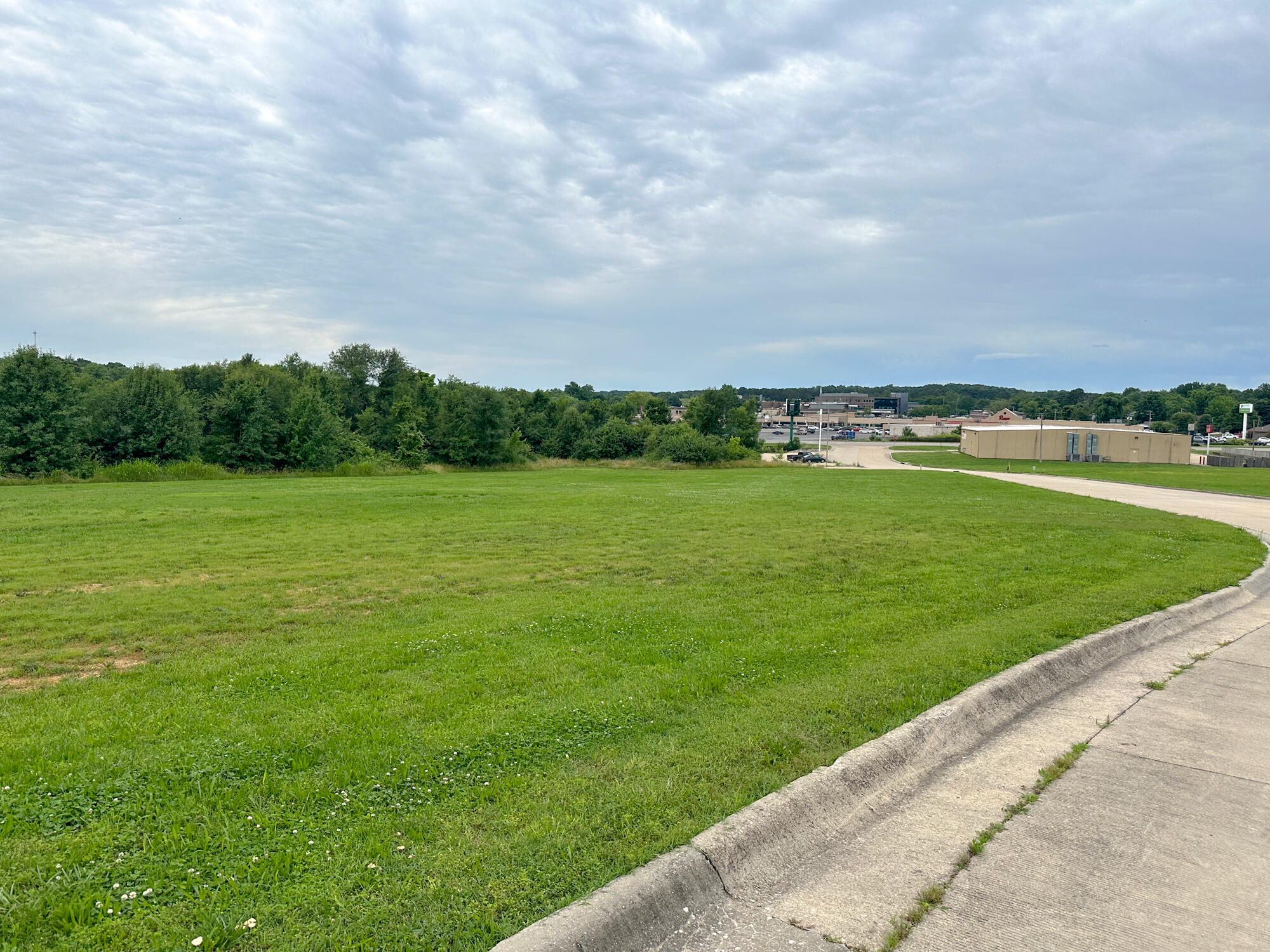Photo 2 - Commercial Sale for sale – 000  Ransom Road   West Plains, MO