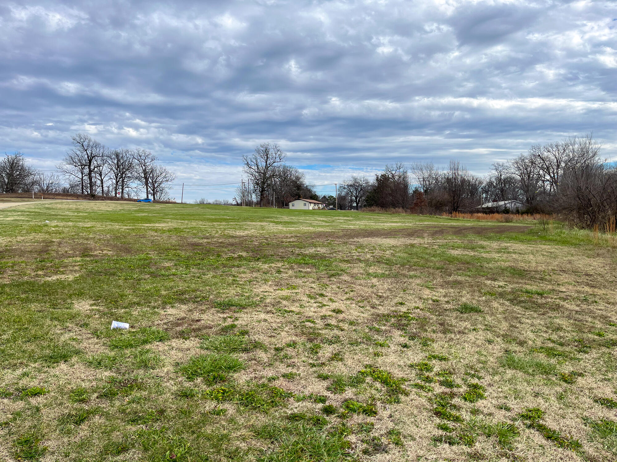 Photo 8 - Land for sale – 000  Missouri Avenue   West Plains, MO
