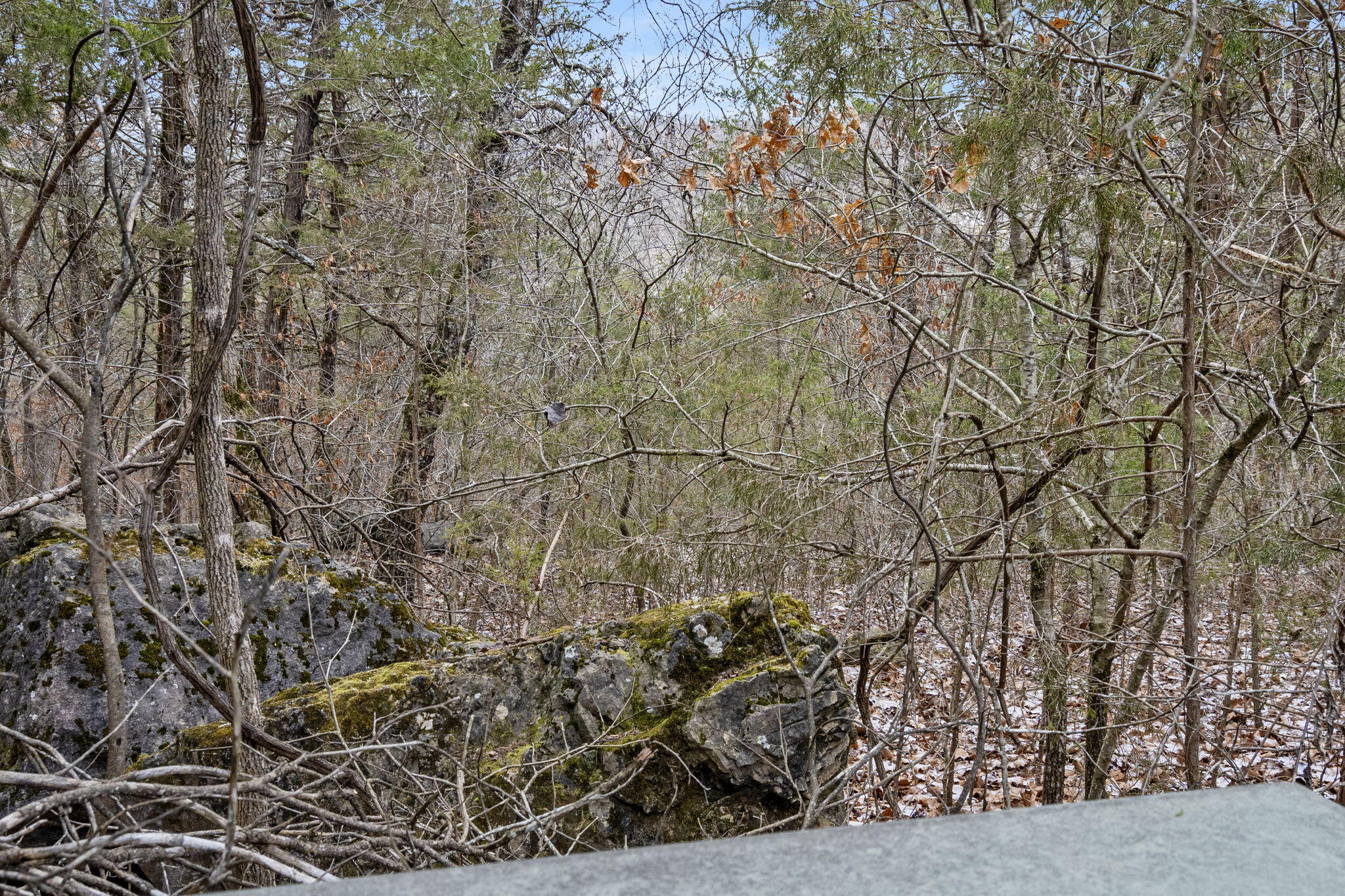 Photo 11 - Land for sale – Lot 9  Ledges Way  Branson West, MO