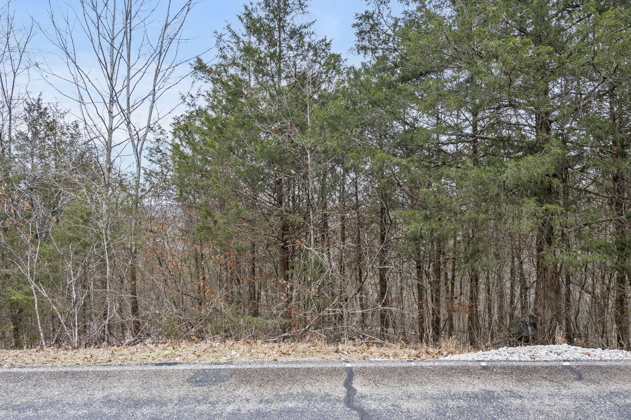 Photo 9 - Land for sale – Lot 9  Ledges Way  Branson West, MO
