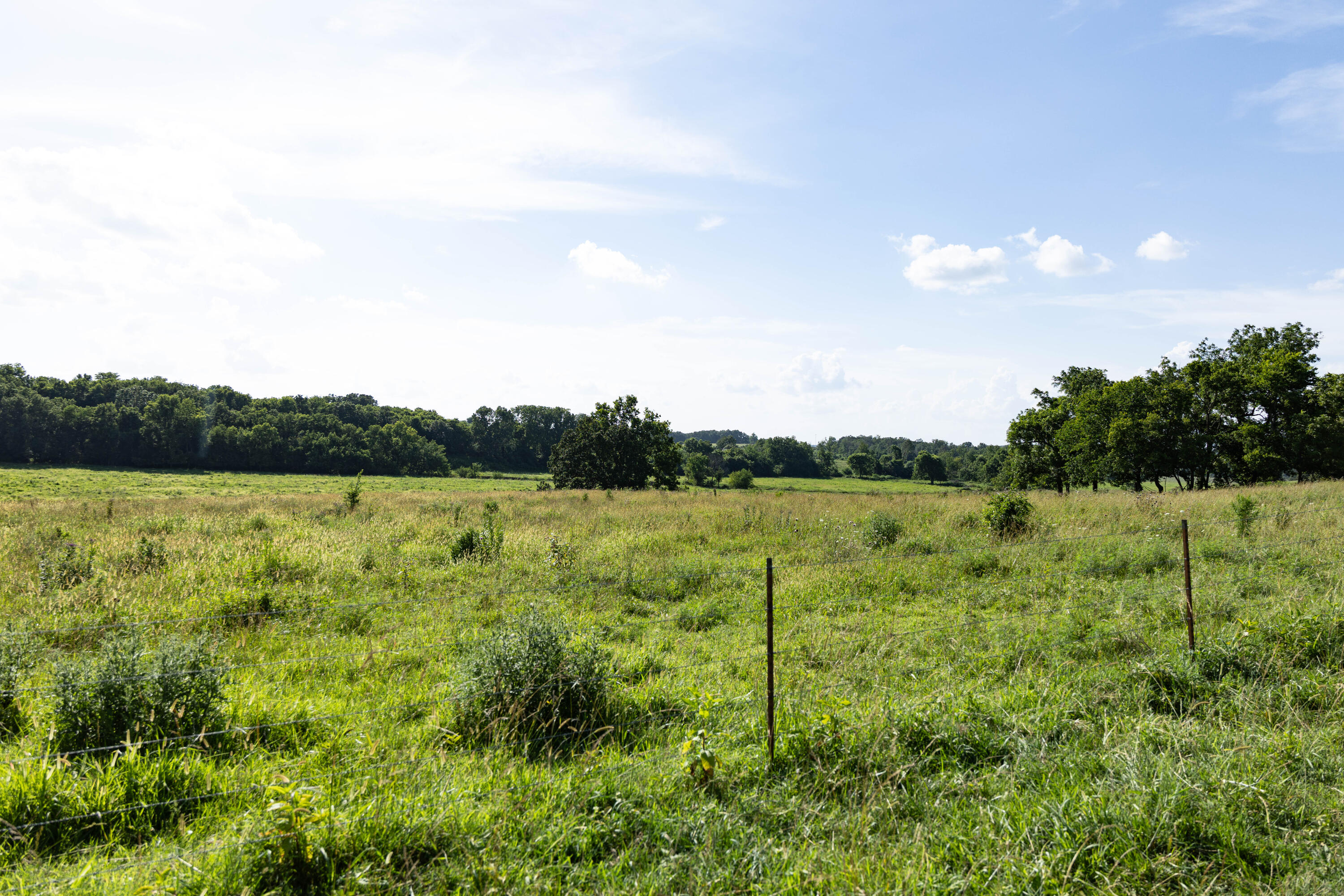 Photo 140 - Farm for sale – 16406  Lawrence 2240   Verona, MO