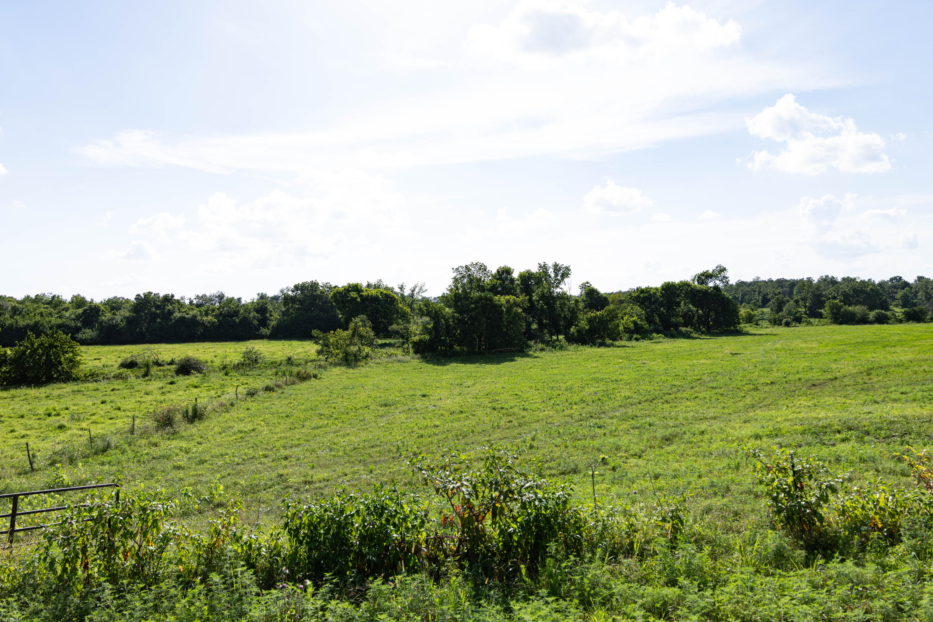 Photo 83 - Farm for sale – 16406  Lawrence 2240   Verona, MO