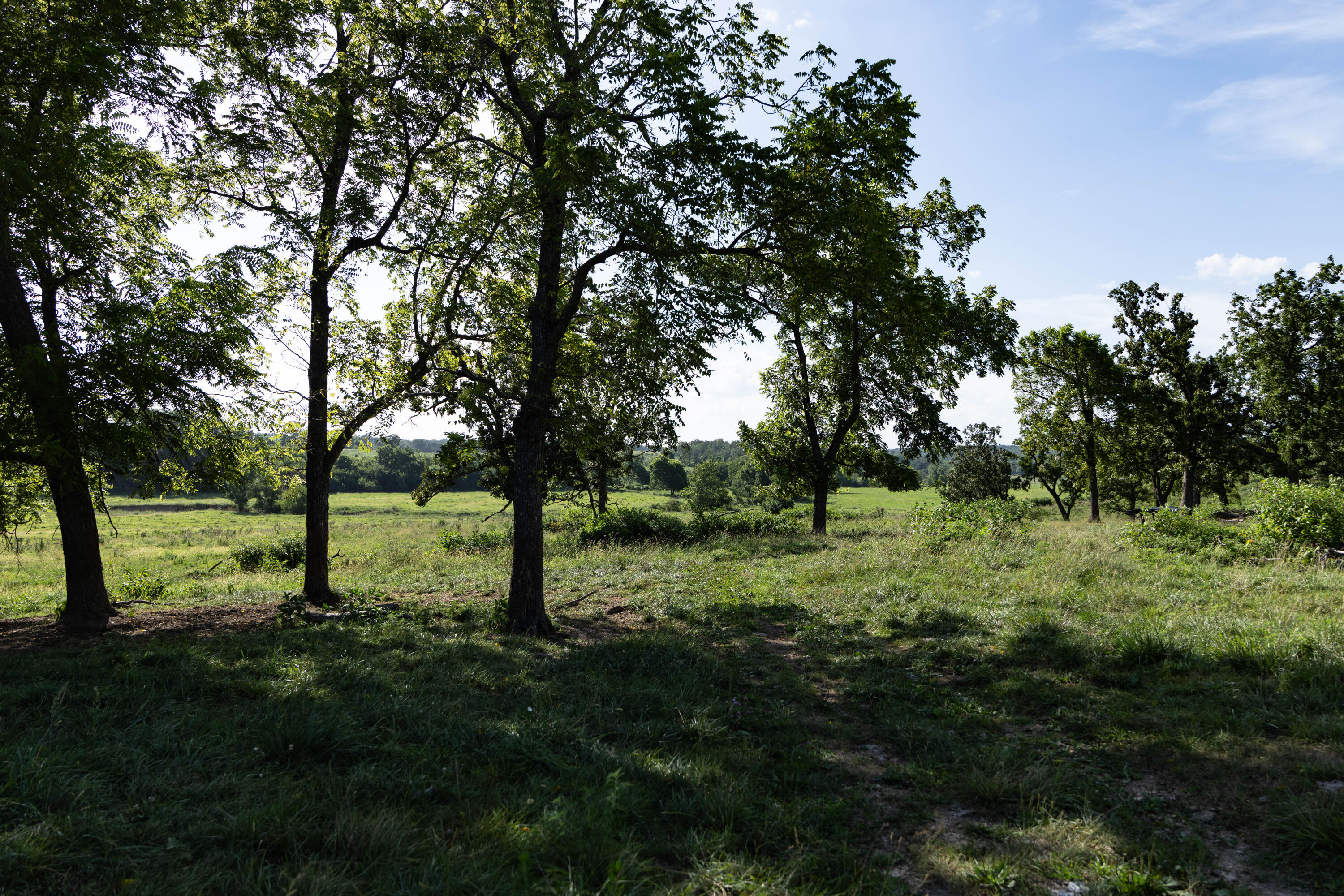 Photo 110 - Farm for sale – 16406  Lawrence 2240   Verona, MO