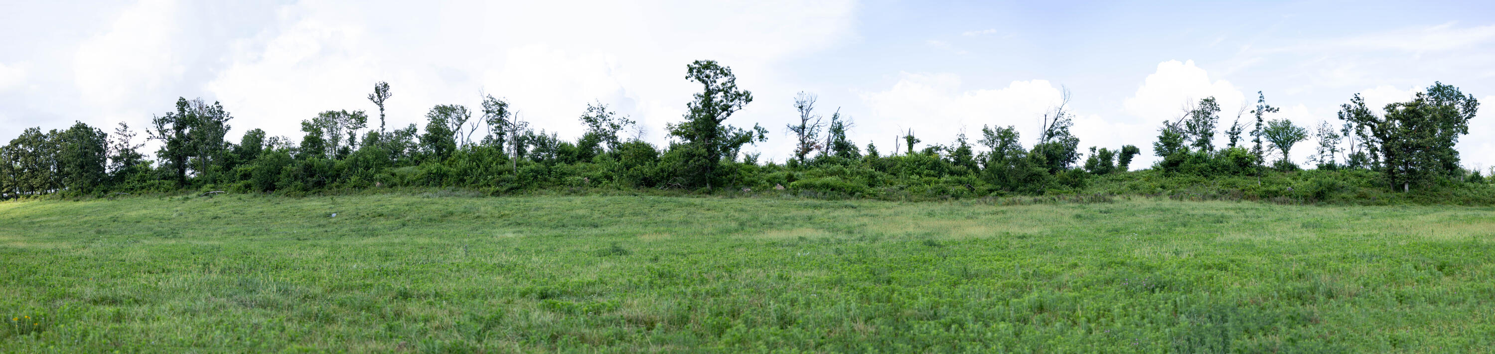 Photo 184 - Farm for sale – 16406  Lawrence 2240   Verona, MO