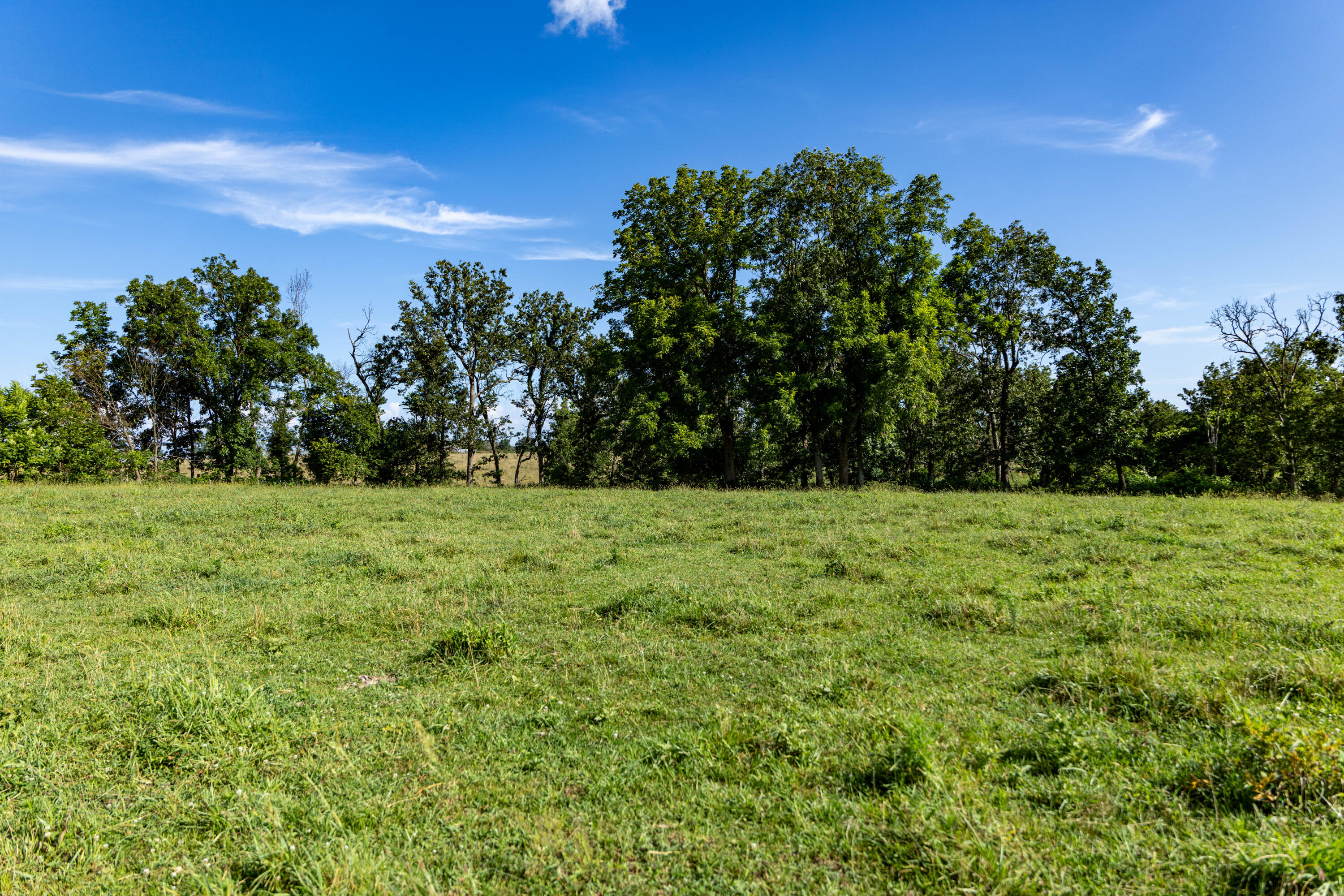 Photo 73 - Farm for sale – 16406  Lawrence 2240   Verona, MO