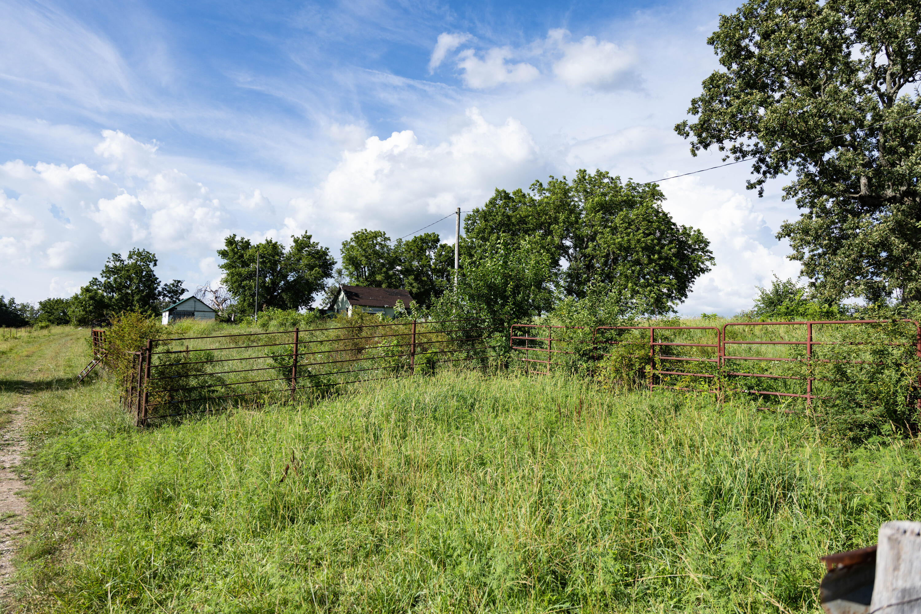 Photo 147 - Farm for sale – 16406  Lawrence 2240   Verona, MO