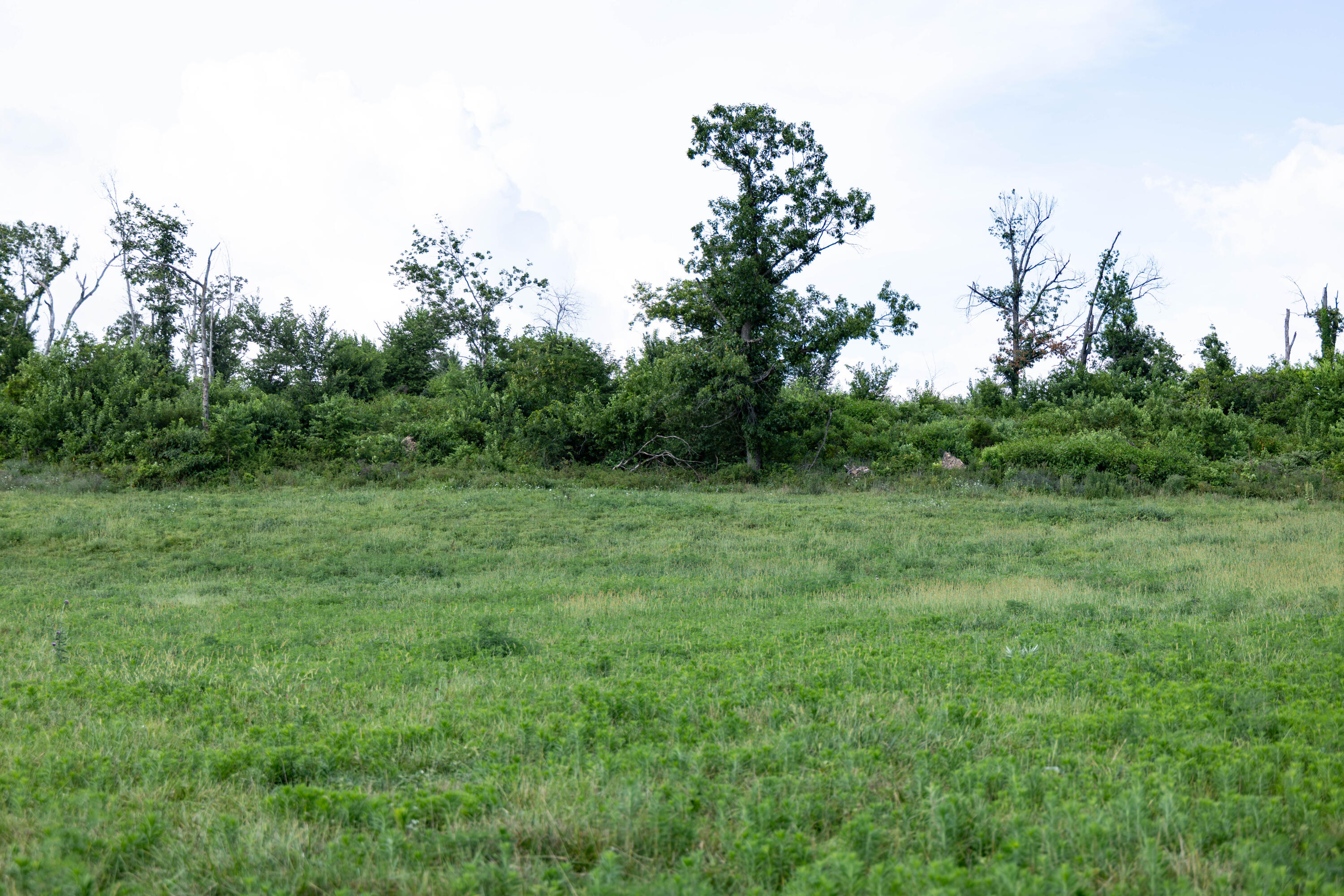 Photo 34 - Farm for sale – 16406  Lawrence 2240   Verona, MO