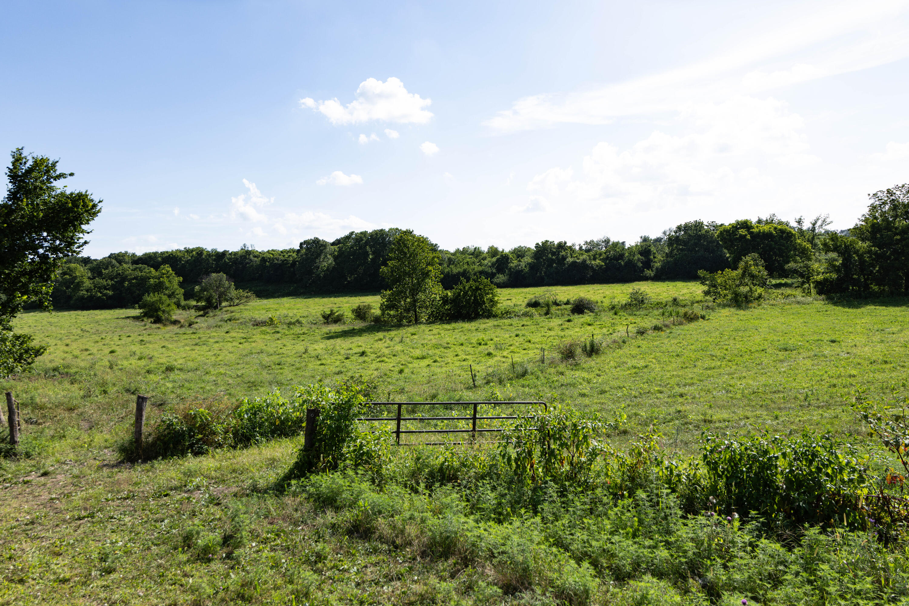 Photo 88 - Farm for sale – 16406  Lawrence 2240   Verona, MO