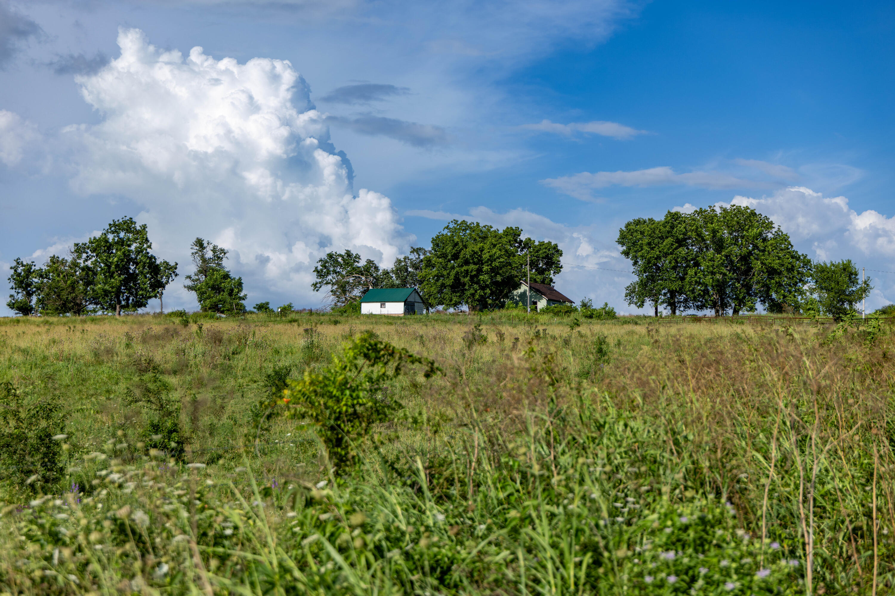 Photo 173 - Farm for sale – 16406  Lawrence 2240   Verona, MO