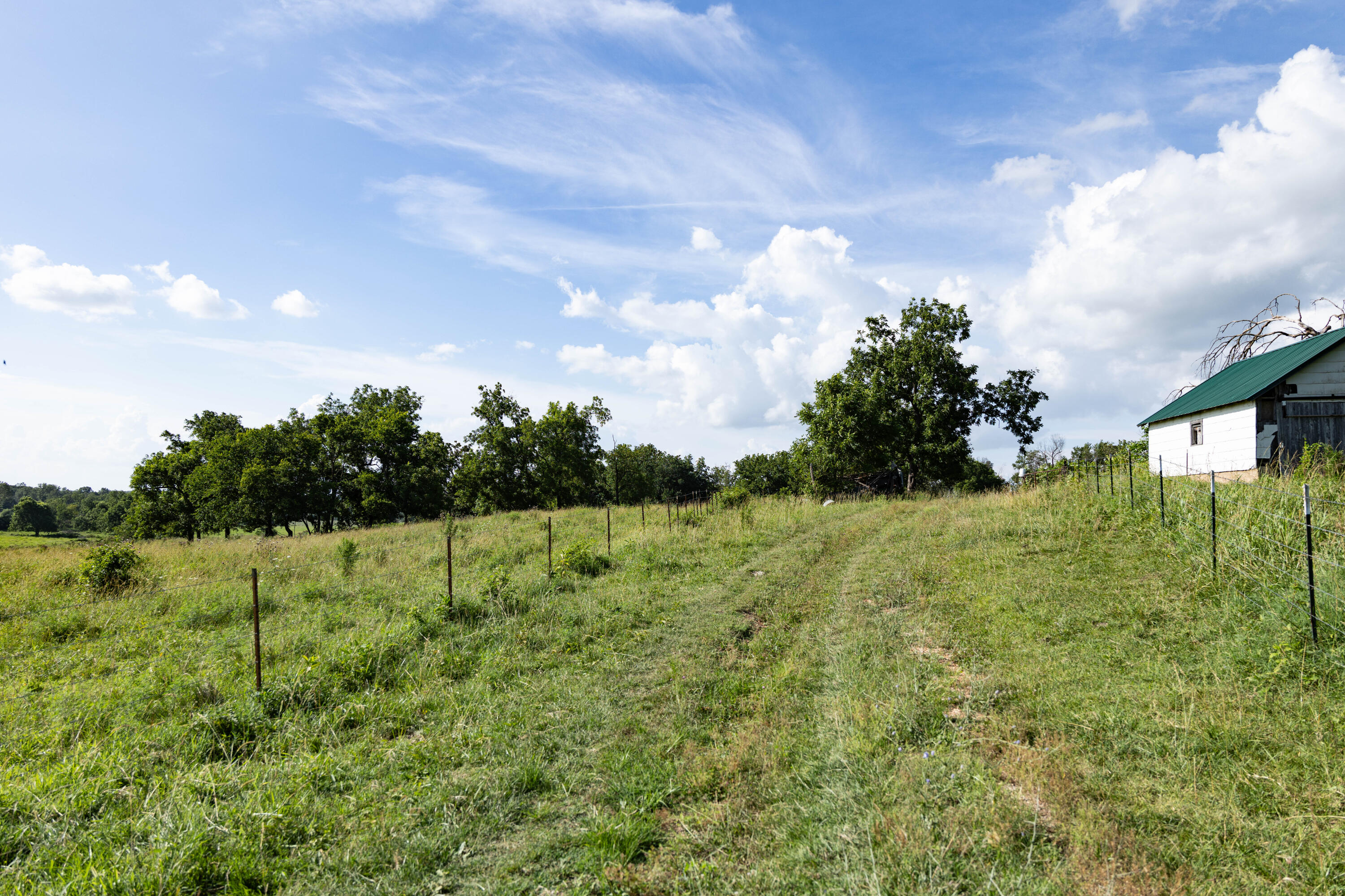 Photo 133 - Farm for sale – 16406  Lawrence 2240   Verona, MO