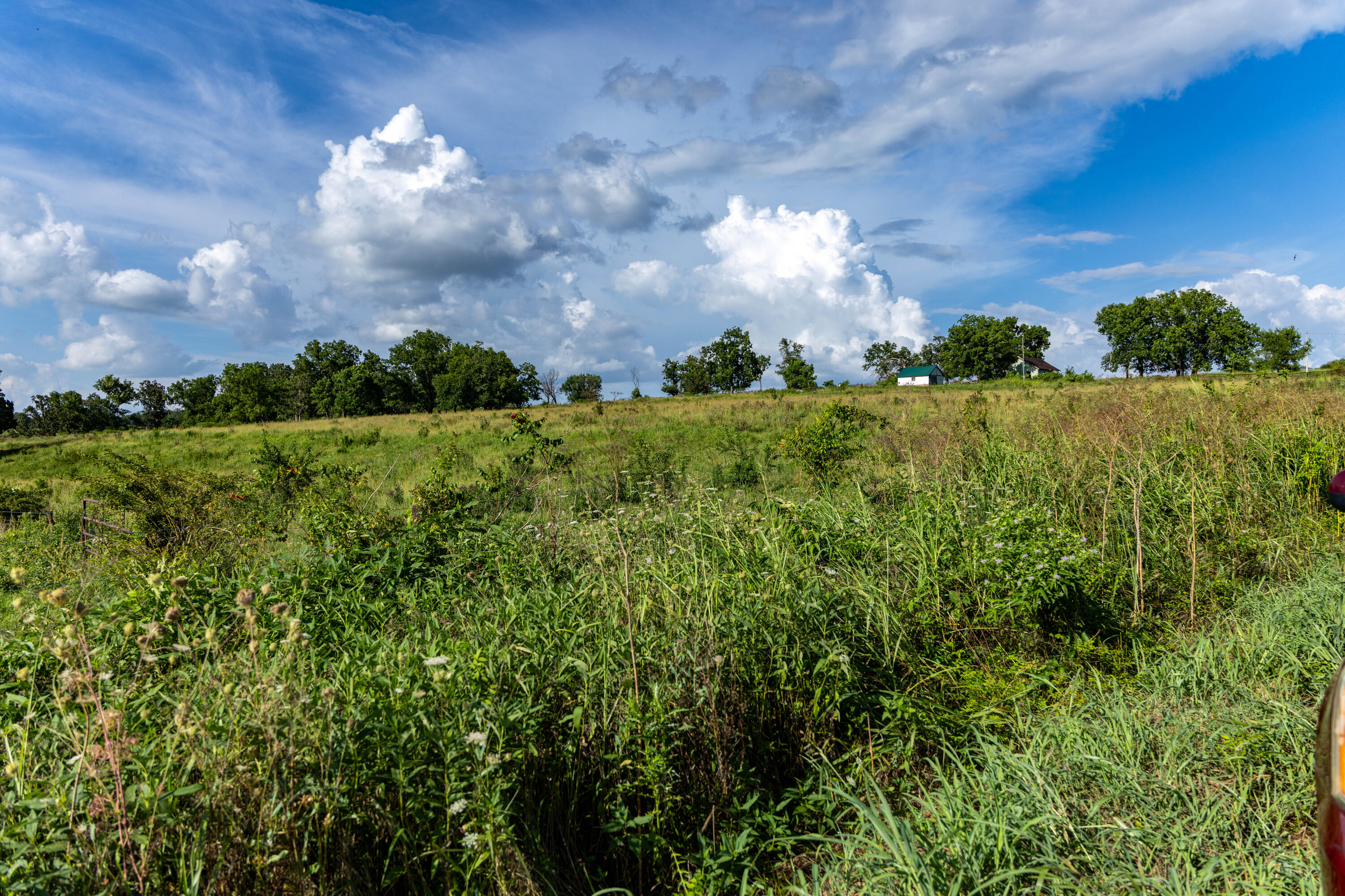 Photo 171 - Farm for sale – 16406  Lawrence 2240   Verona, MO