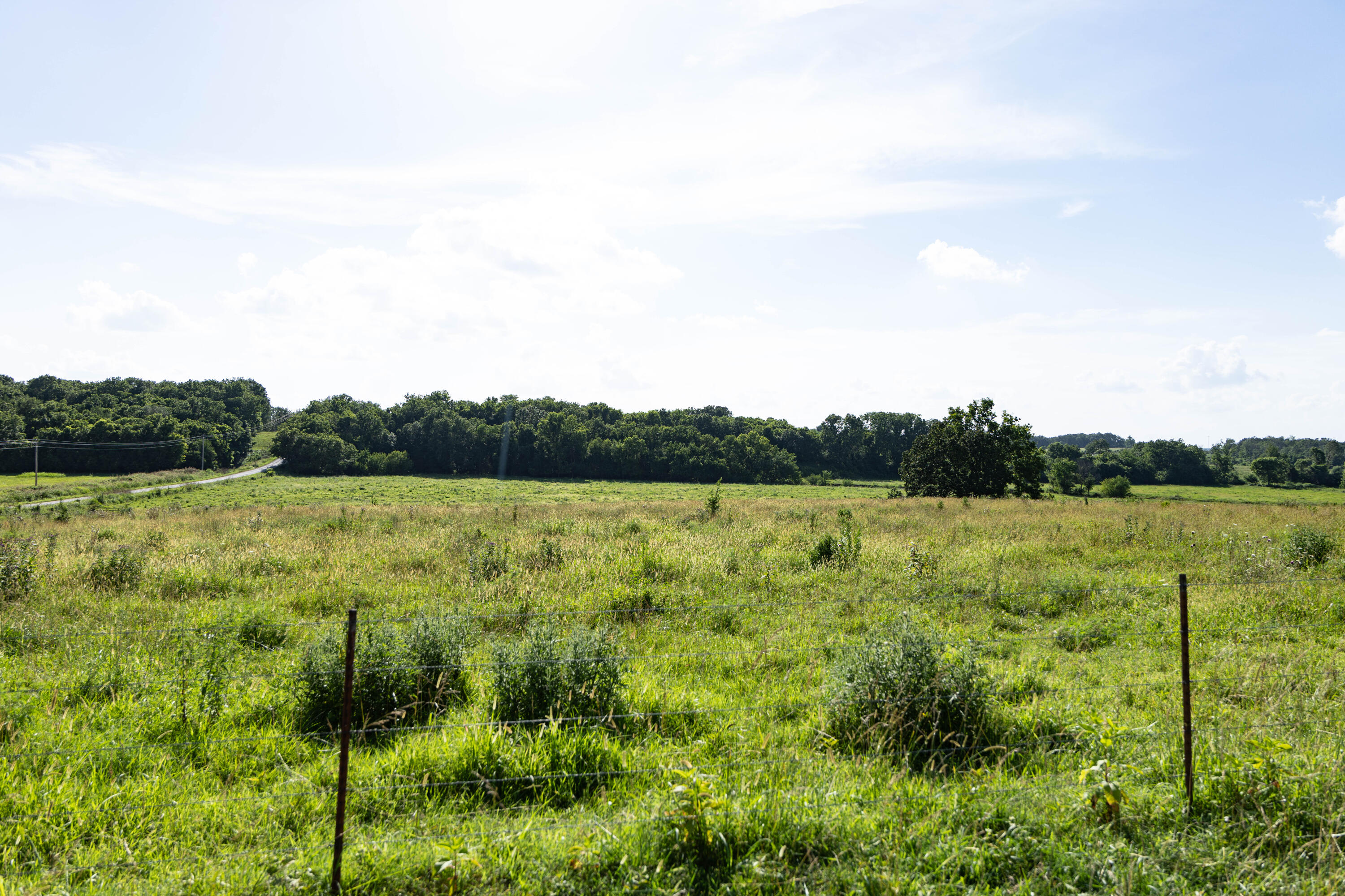 Photo 143 - Farm for sale – 16406  Lawrence 2240   Verona, MO
