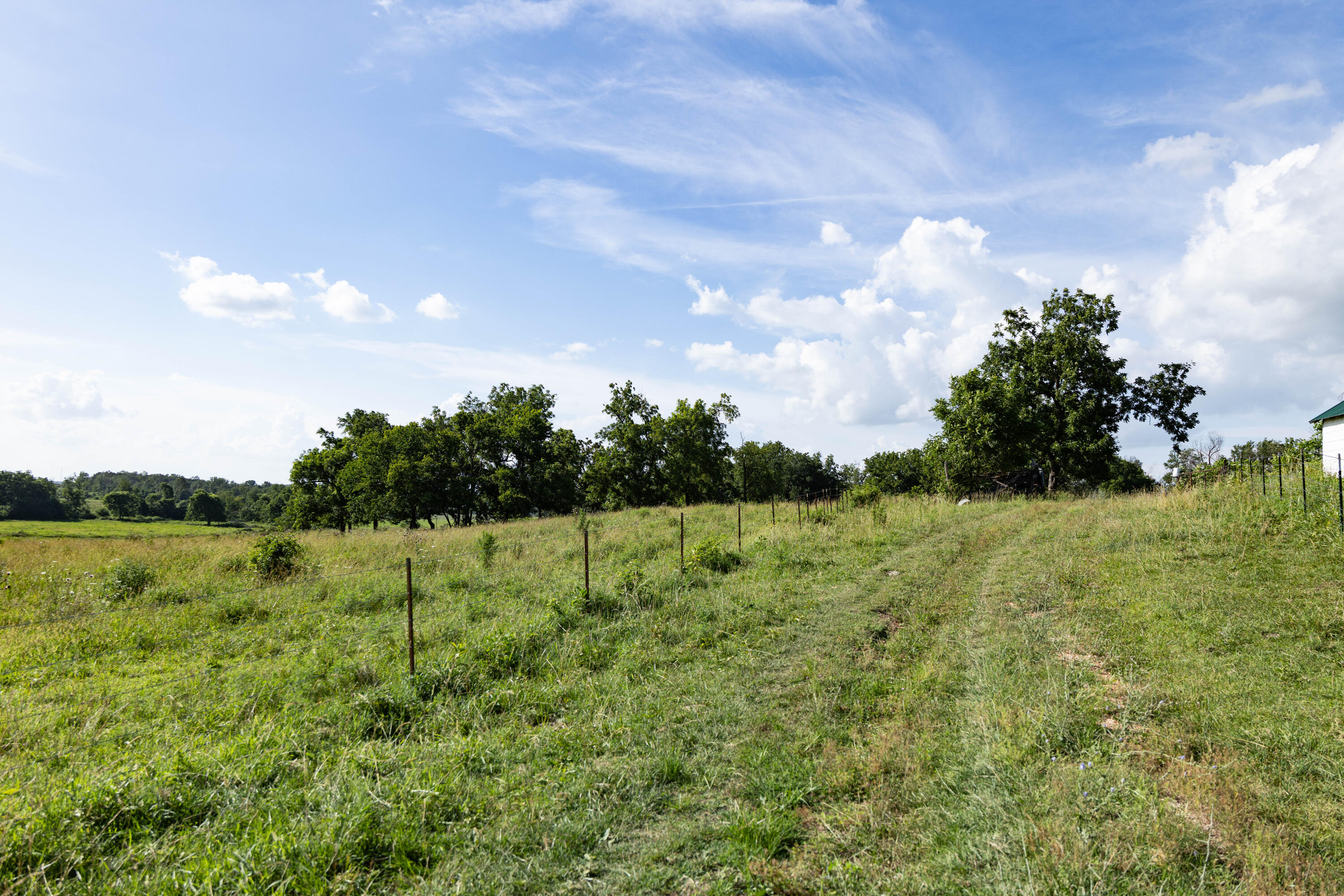 Photo 134 - Farm for sale – 16406  Lawrence 2240   Verona, MO
