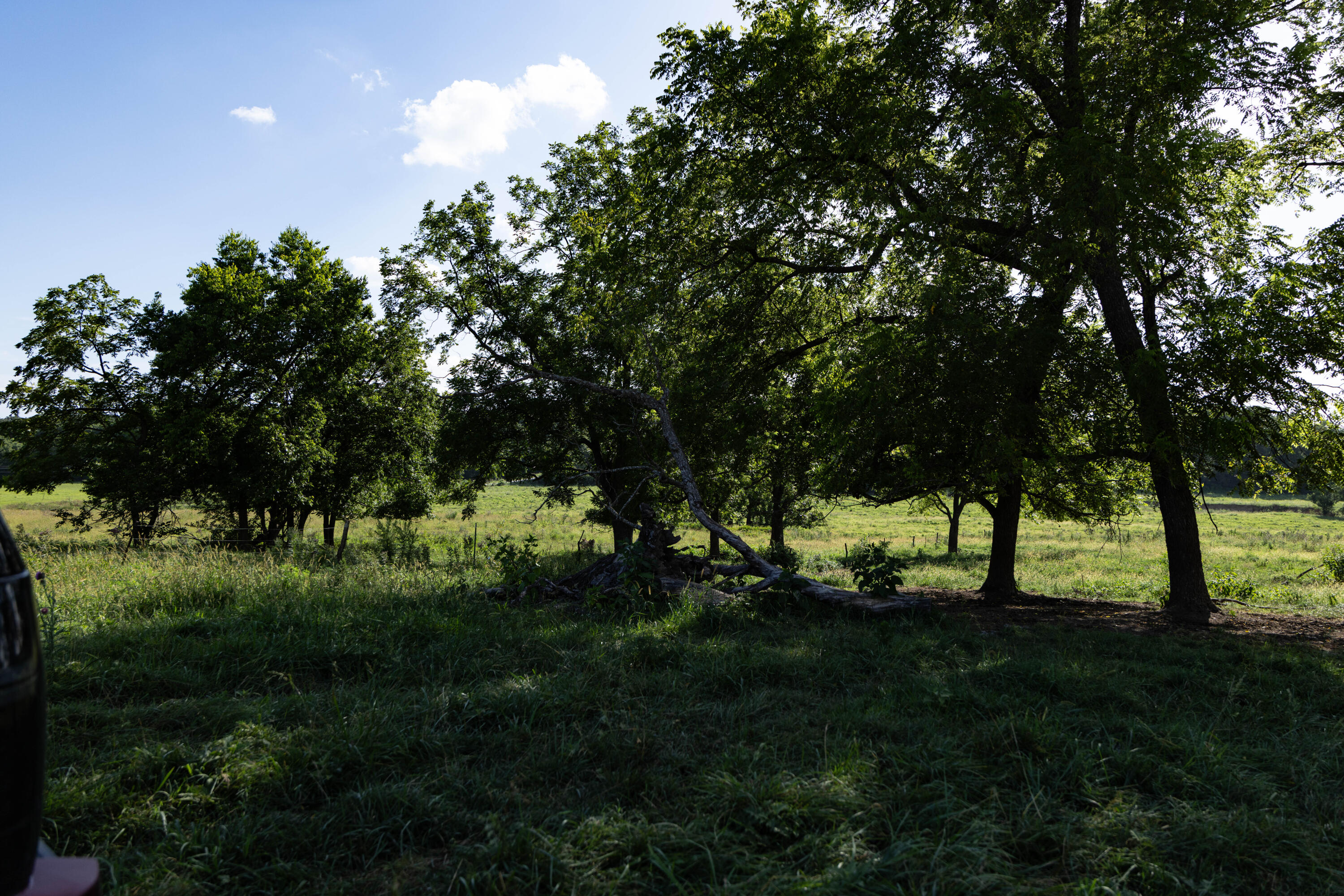 Photo 116 - Farm for sale – 16406  Lawrence 2240   Verona, MO
