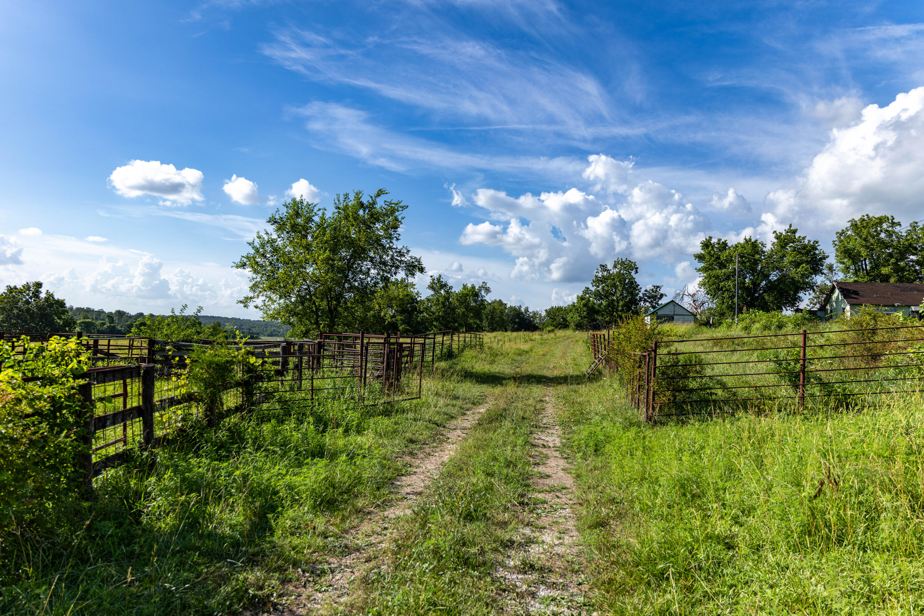 Photo 151 - Farm for sale – 16406  Lawrence 2240   Verona, MO