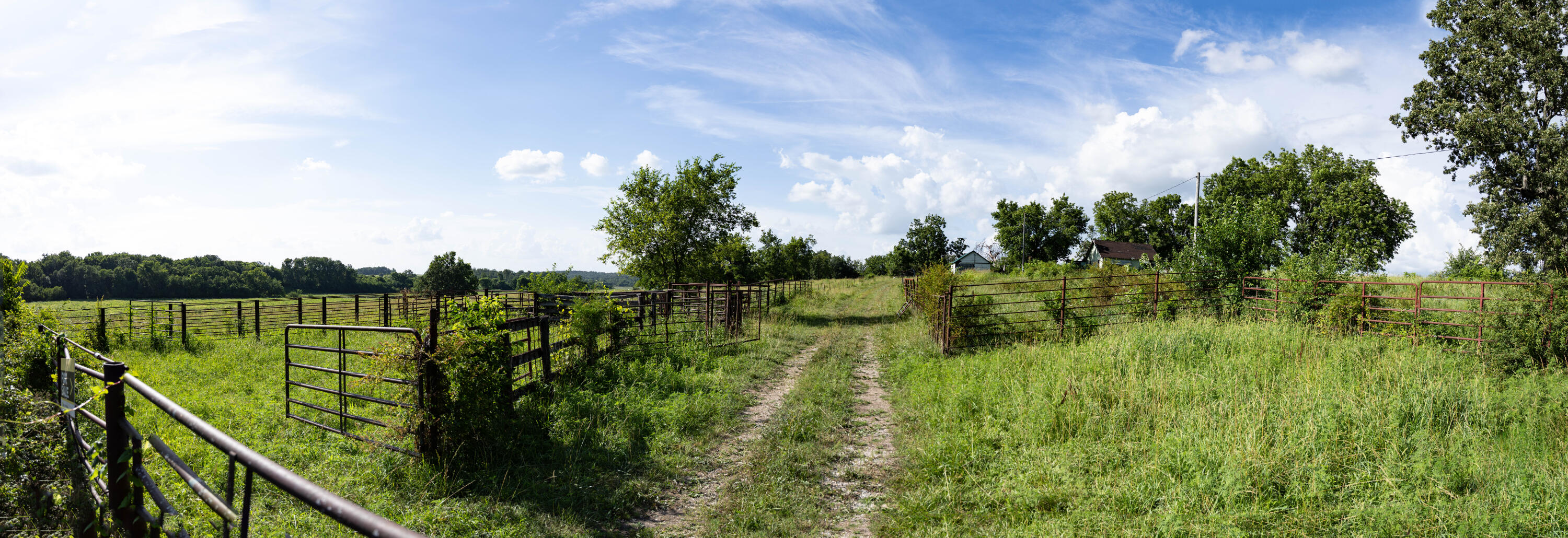 Photo 5 - Farm for sale – 16406  Lawrence 2240   Verona, MO