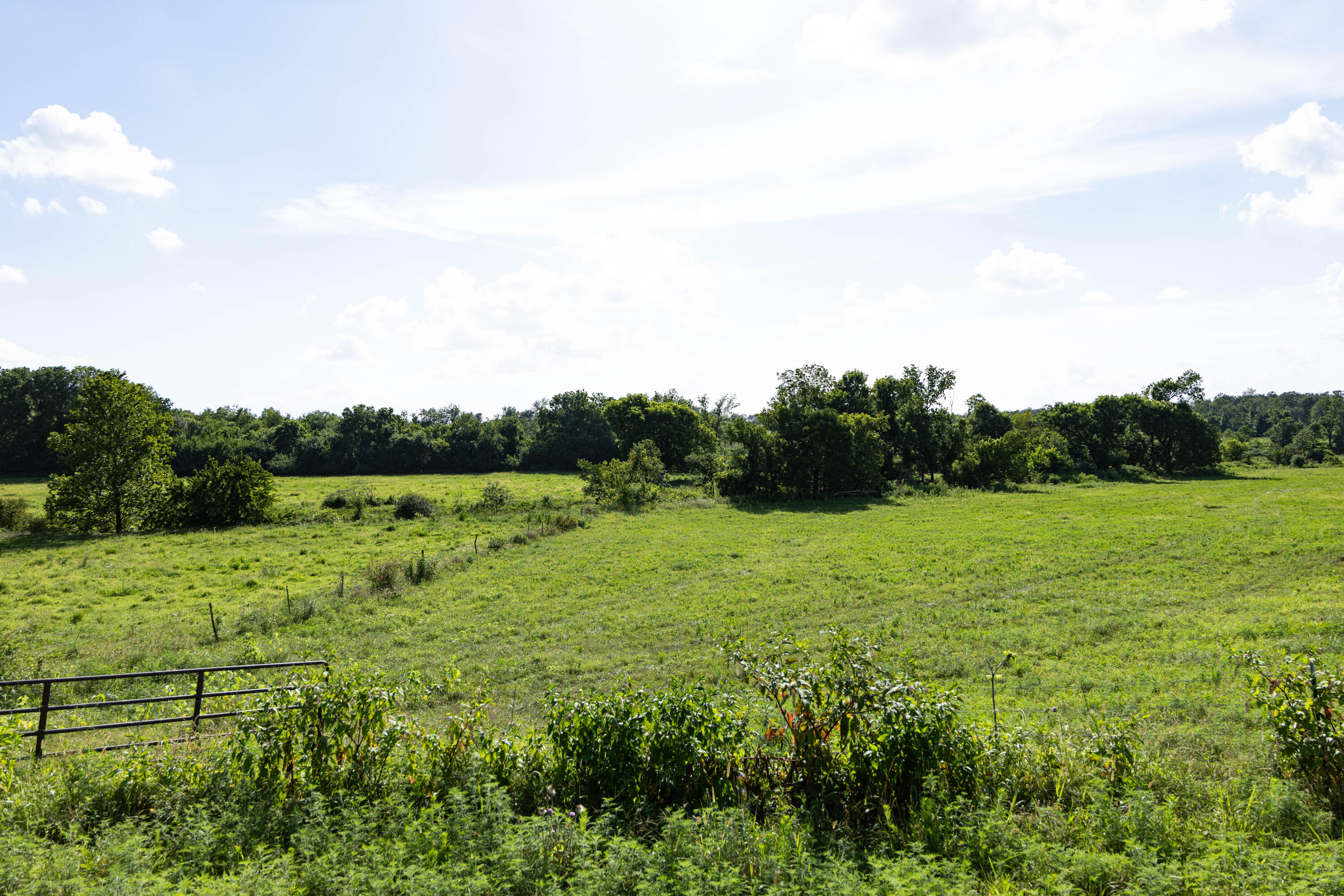 Photo 85 - Farm for sale – 16406  Lawrence 2240   Verona, MO