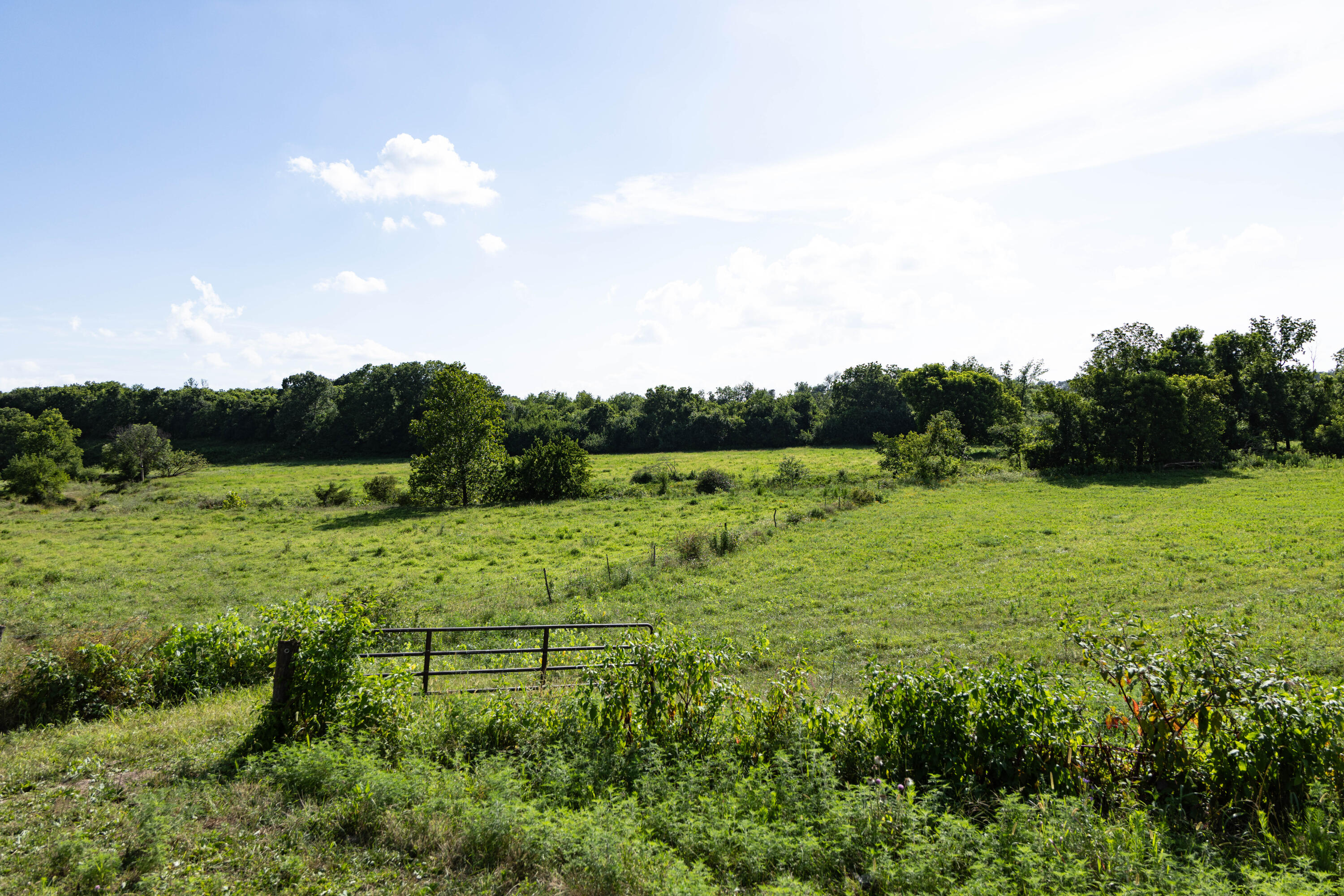 Photo 87 - Farm for sale – 16406  Lawrence 2240   Verona, MO