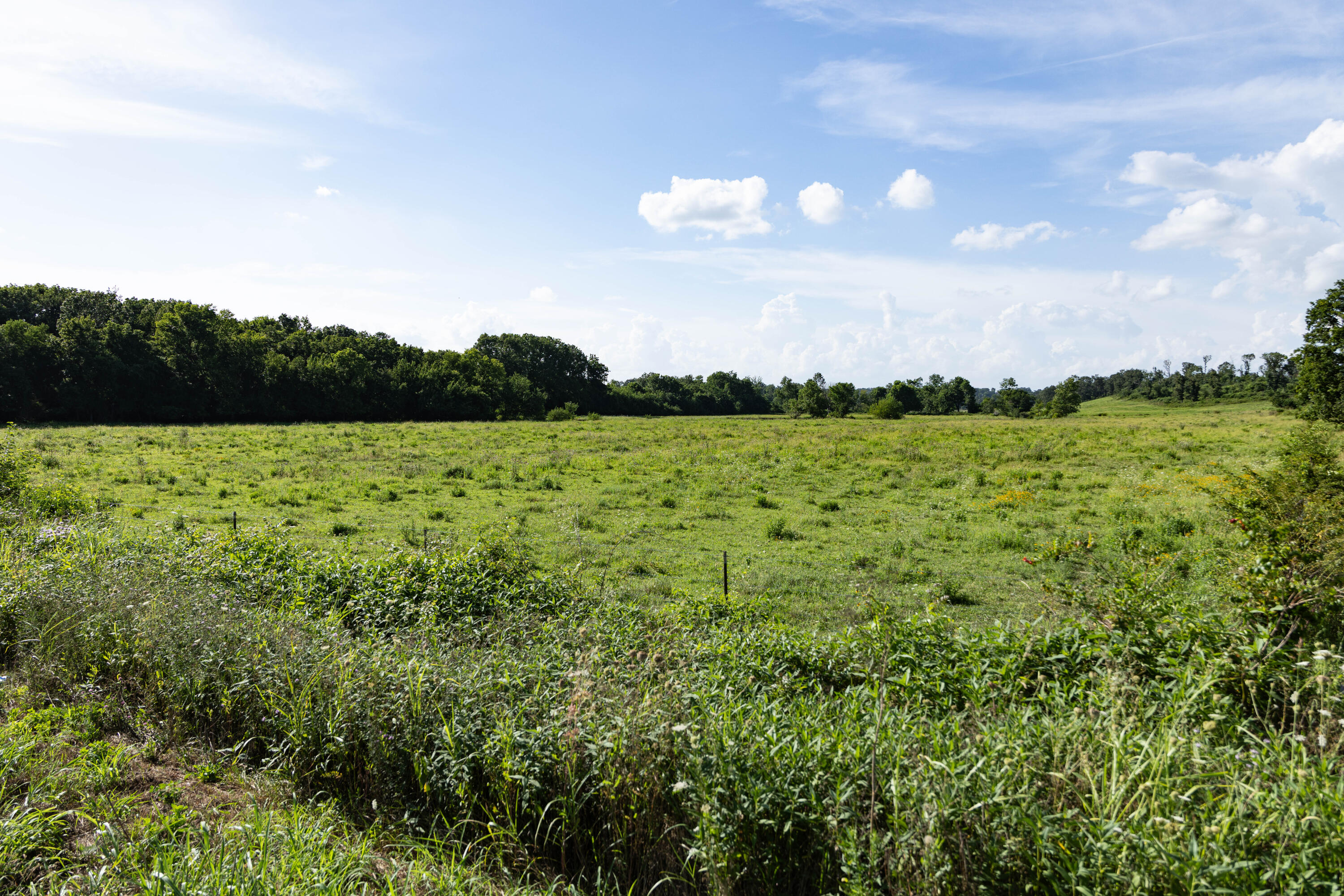 Photo 156 - Farm for sale – 16406  Lawrence 2240   Verona, MO