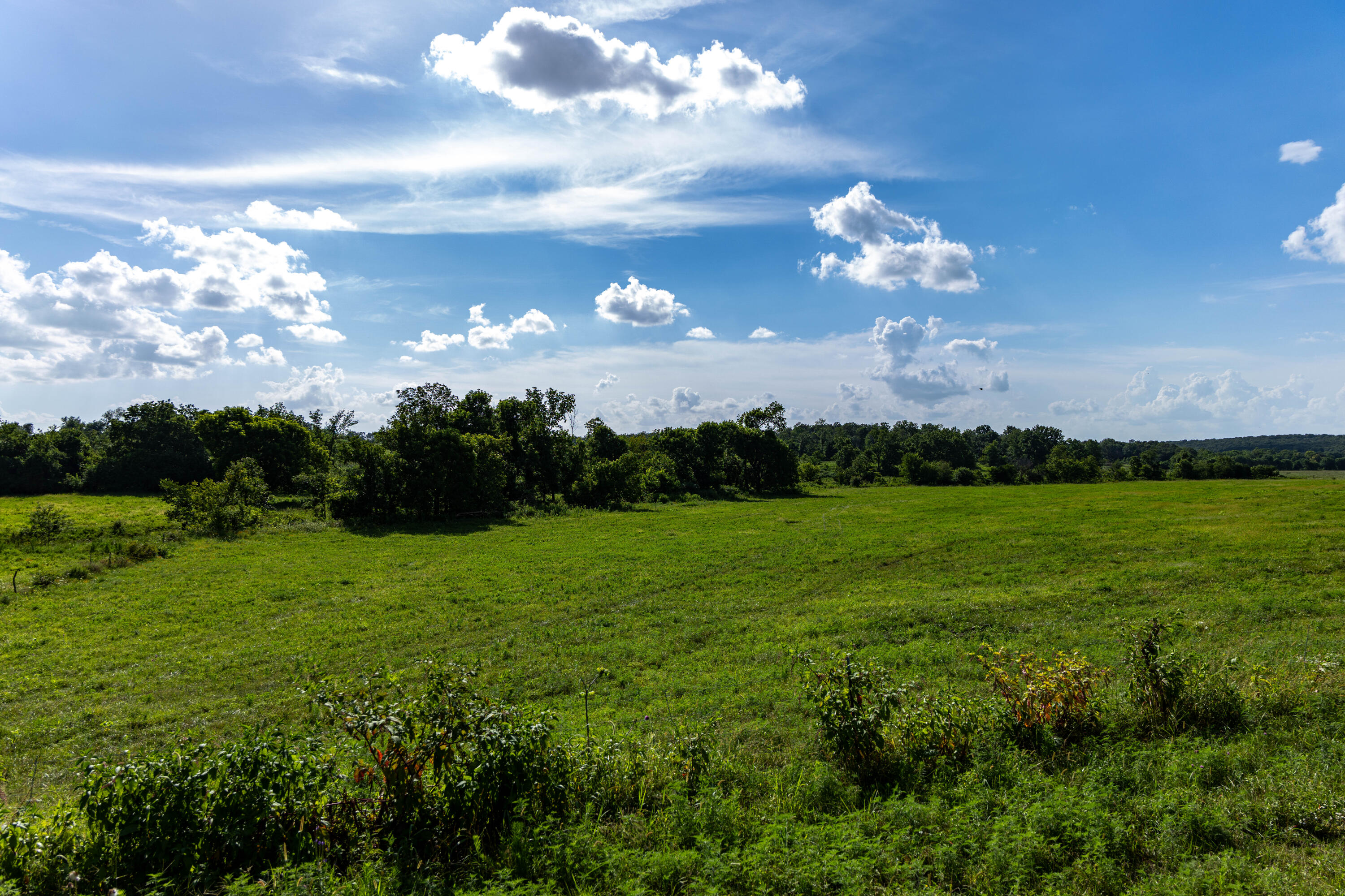 Photo 81 - Farm for sale – 16406  Lawrence 2240   Verona, MO