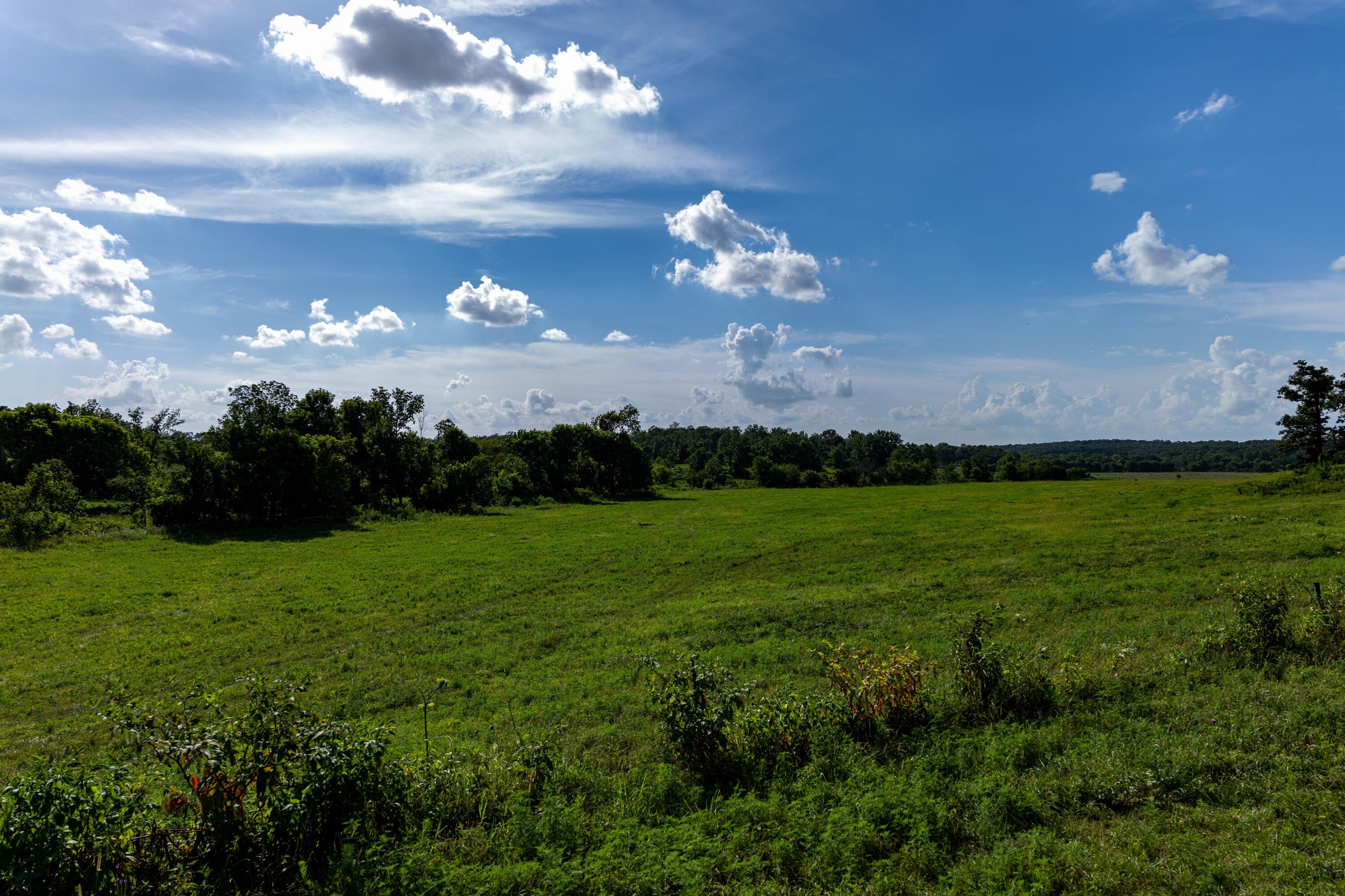 Photo 80 - Farm for sale – 16406  Lawrence 2240   Verona, MO