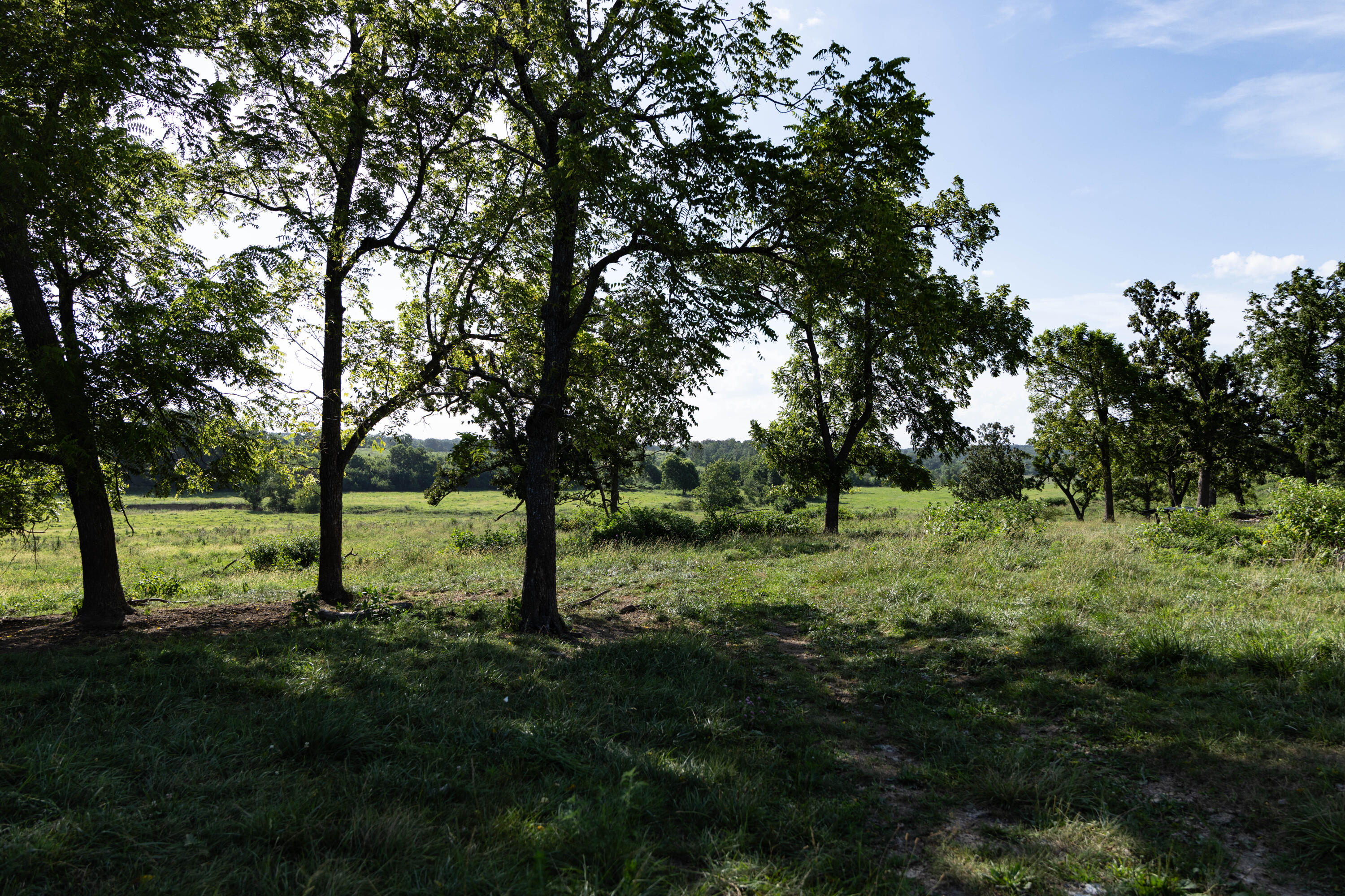 Photo 111 - Farm for sale – 16406  Lawrence 2240   Verona, MO
