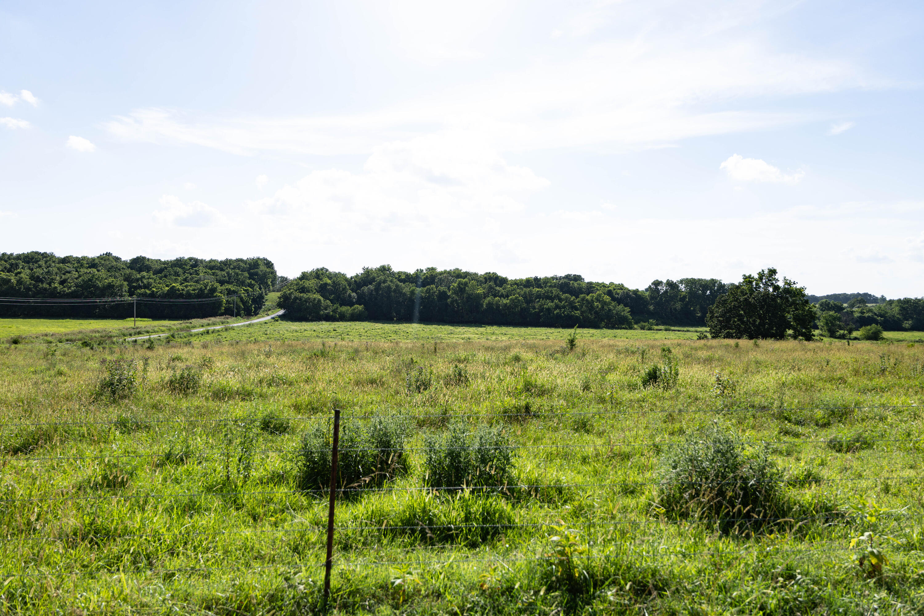 Photo 144 - Farm for sale – 16406  Lawrence 2240   Verona, MO
