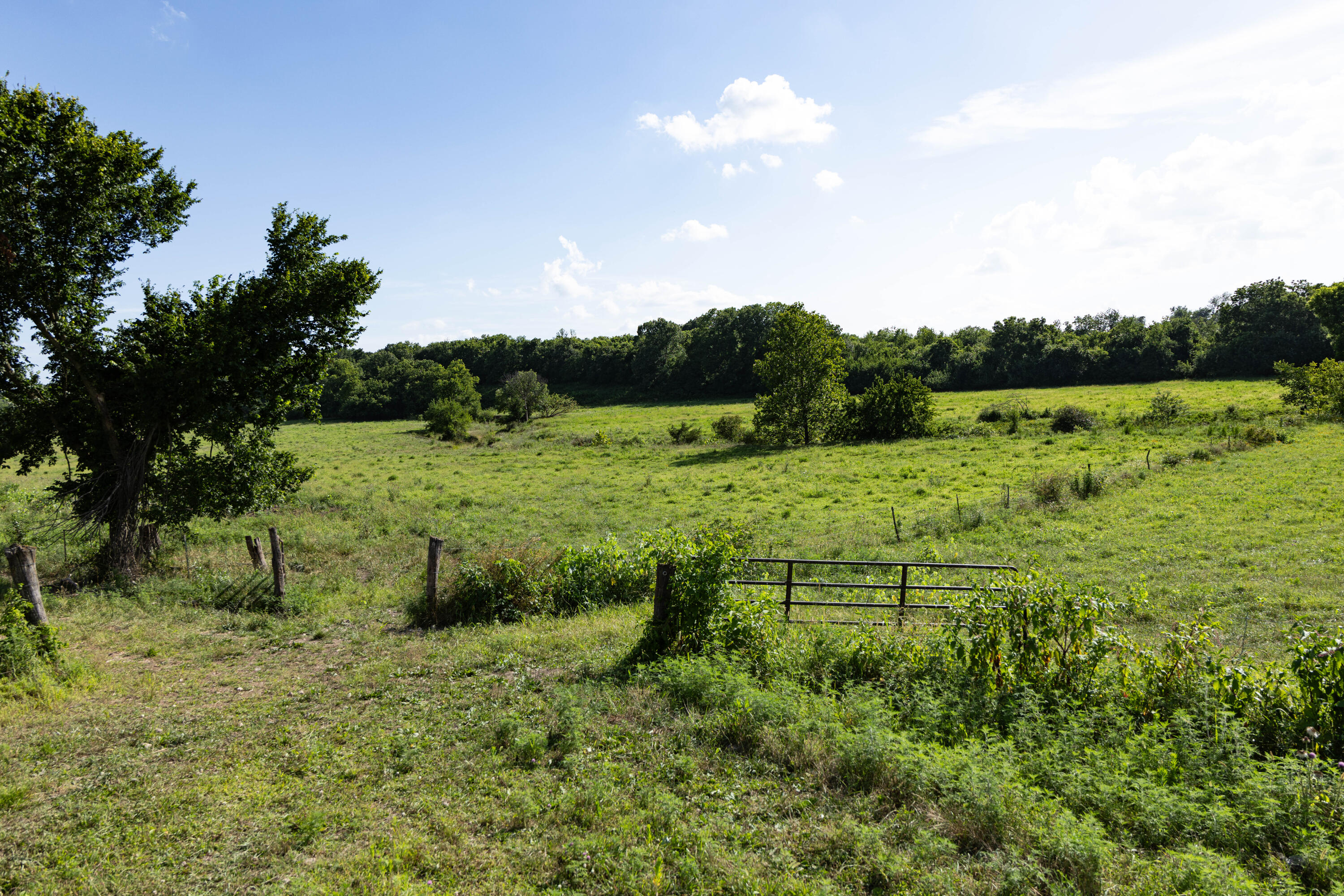 Photo 90 - Farm for sale – 16406  Lawrence 2240   Verona, MO