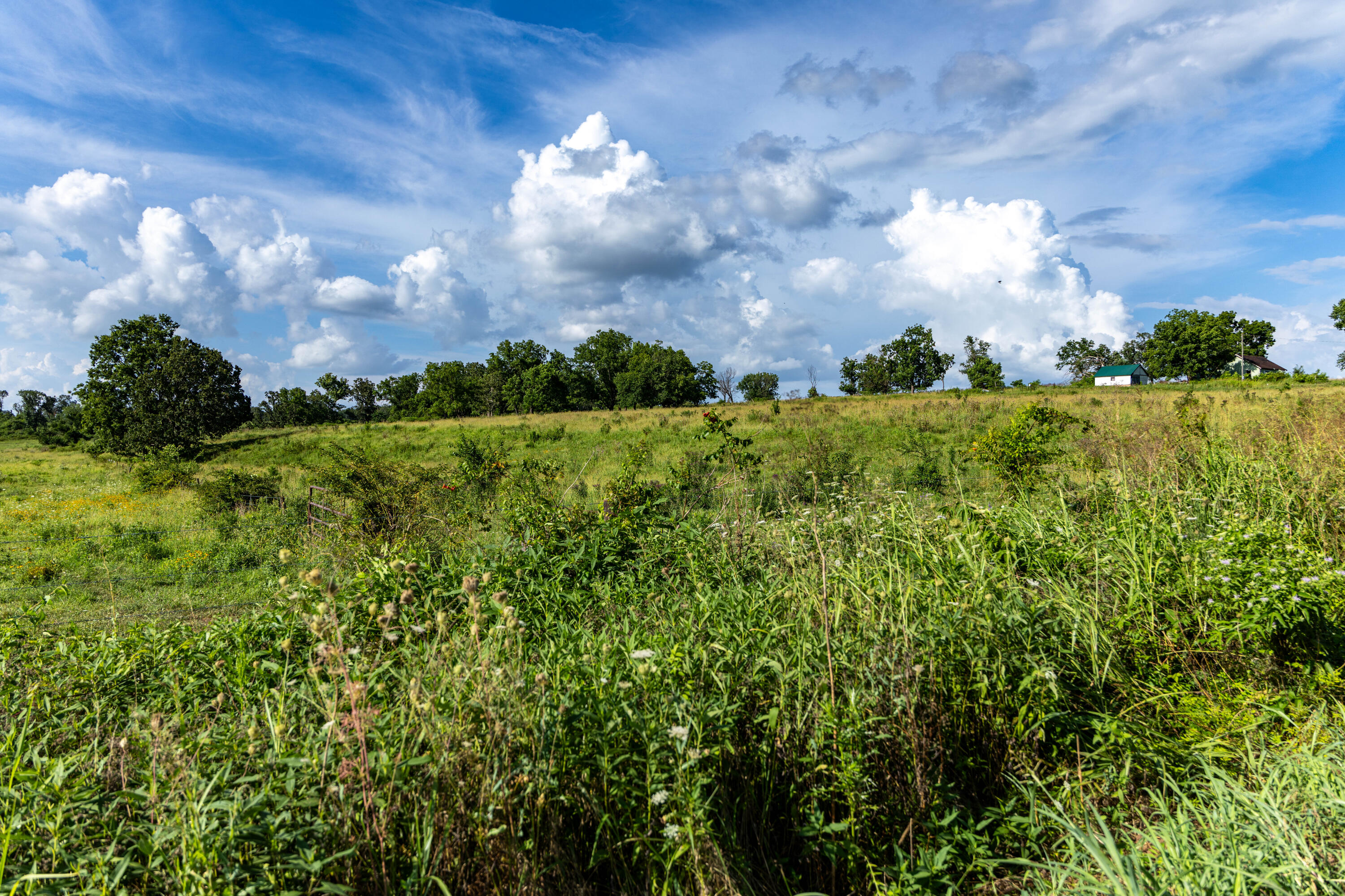 Photo 170 - Farm for sale – 16406  Lawrence 2240   Verona, MO