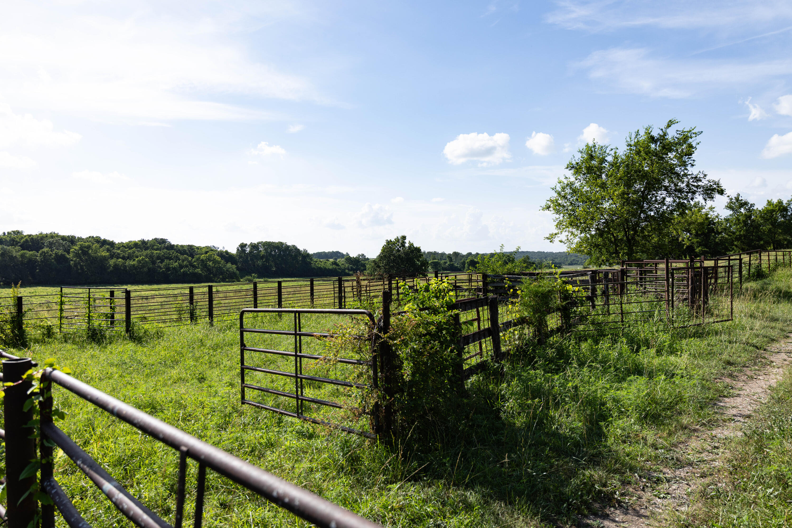 Photo 154 - Farm for sale – 16406  Lawrence 2240   Verona, MO