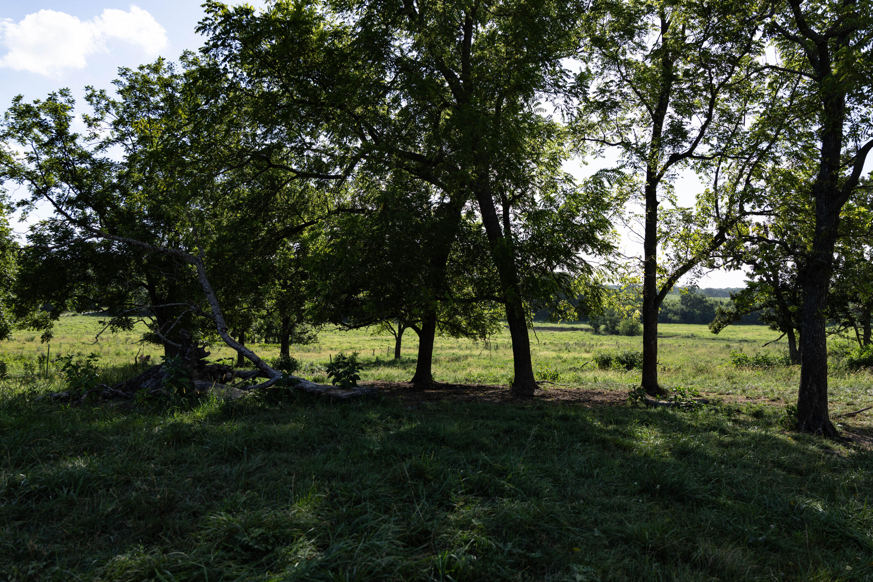 Photo 114 - Farm for sale – 16406  Lawrence 2240   Verona, MO