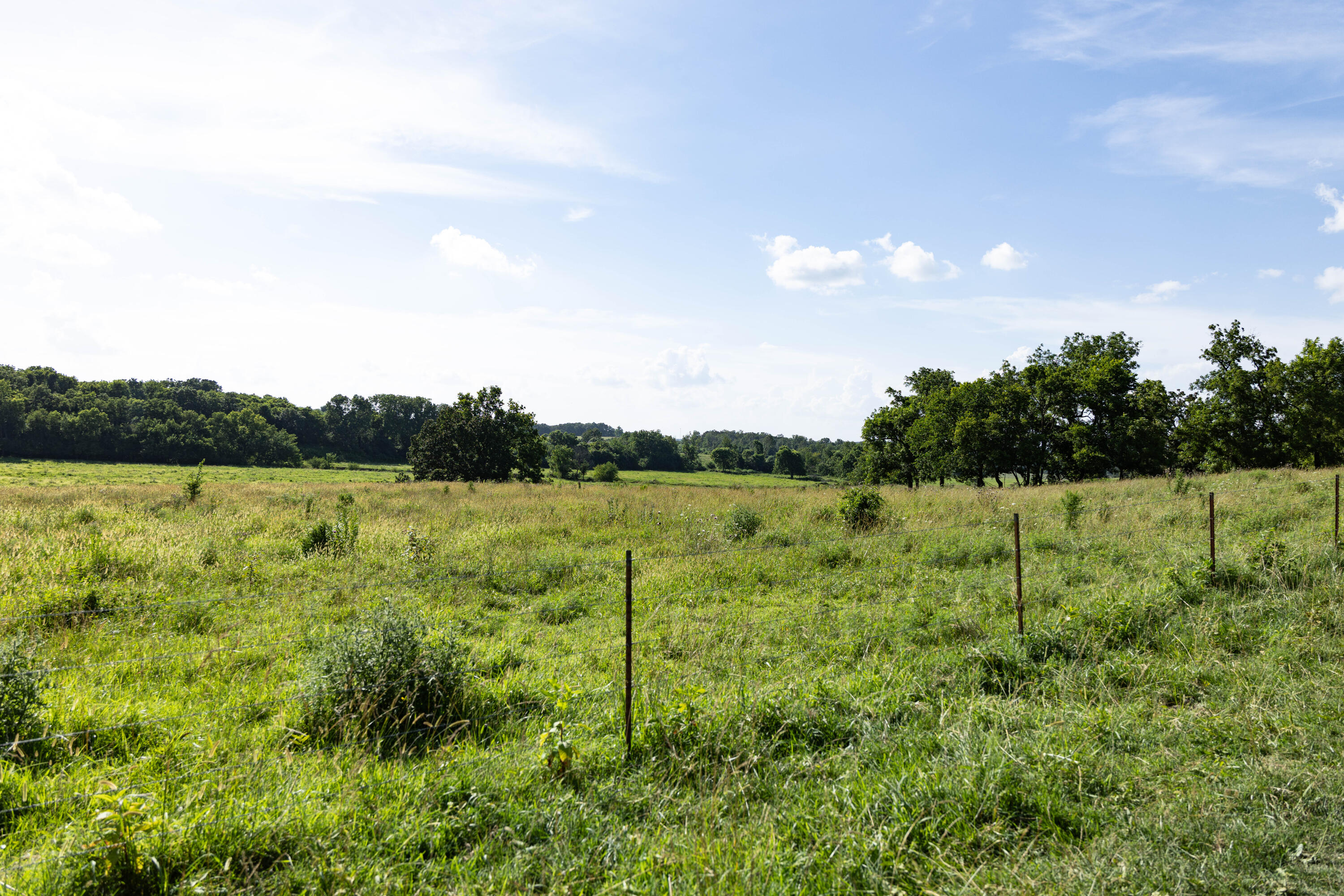 Photo 139 - Farm for sale – 16406  Lawrence 2240   Verona, MO