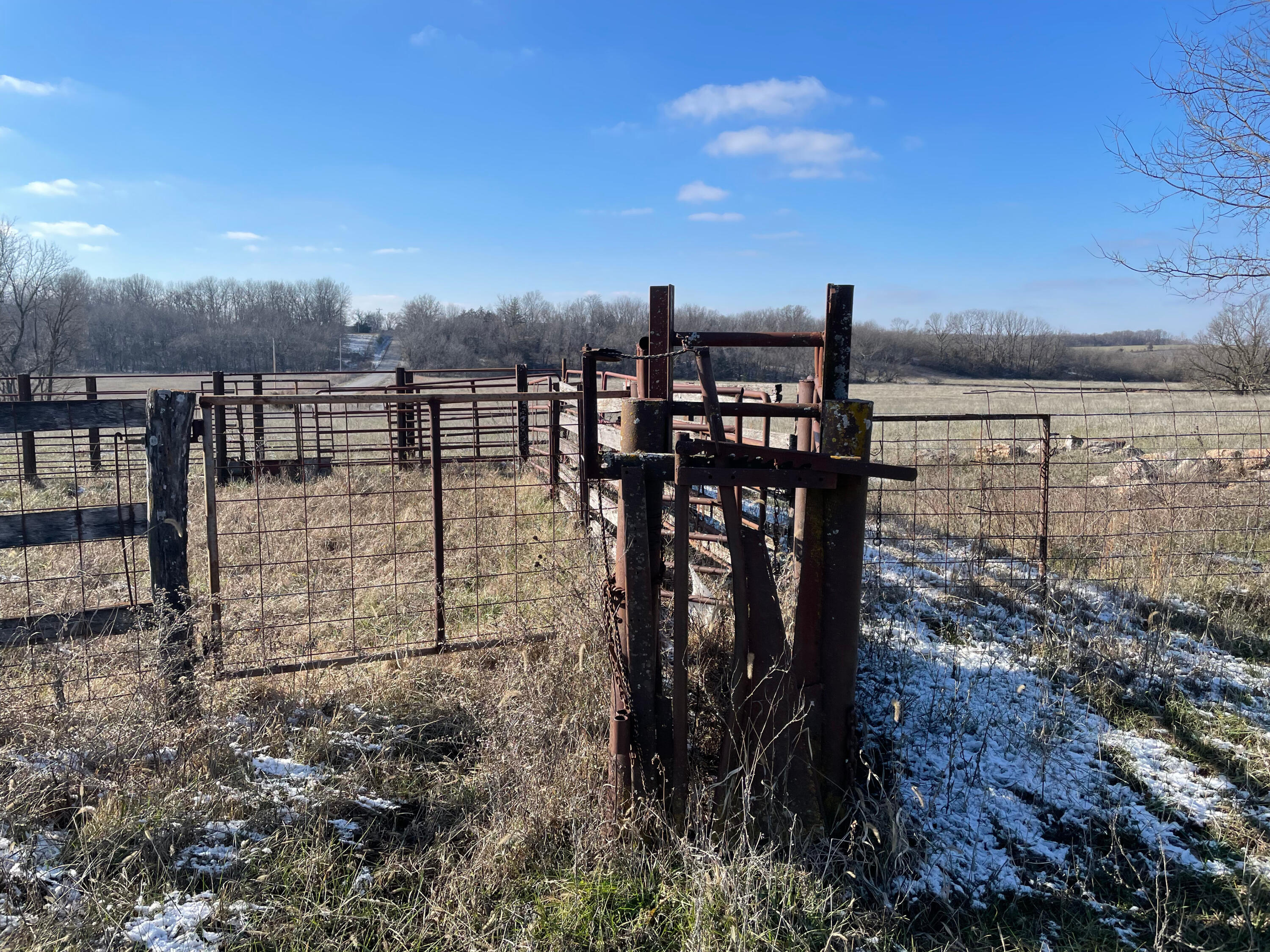 Photo 8 - Farm for sale – 16406  Lawrence 2240   Verona, MO