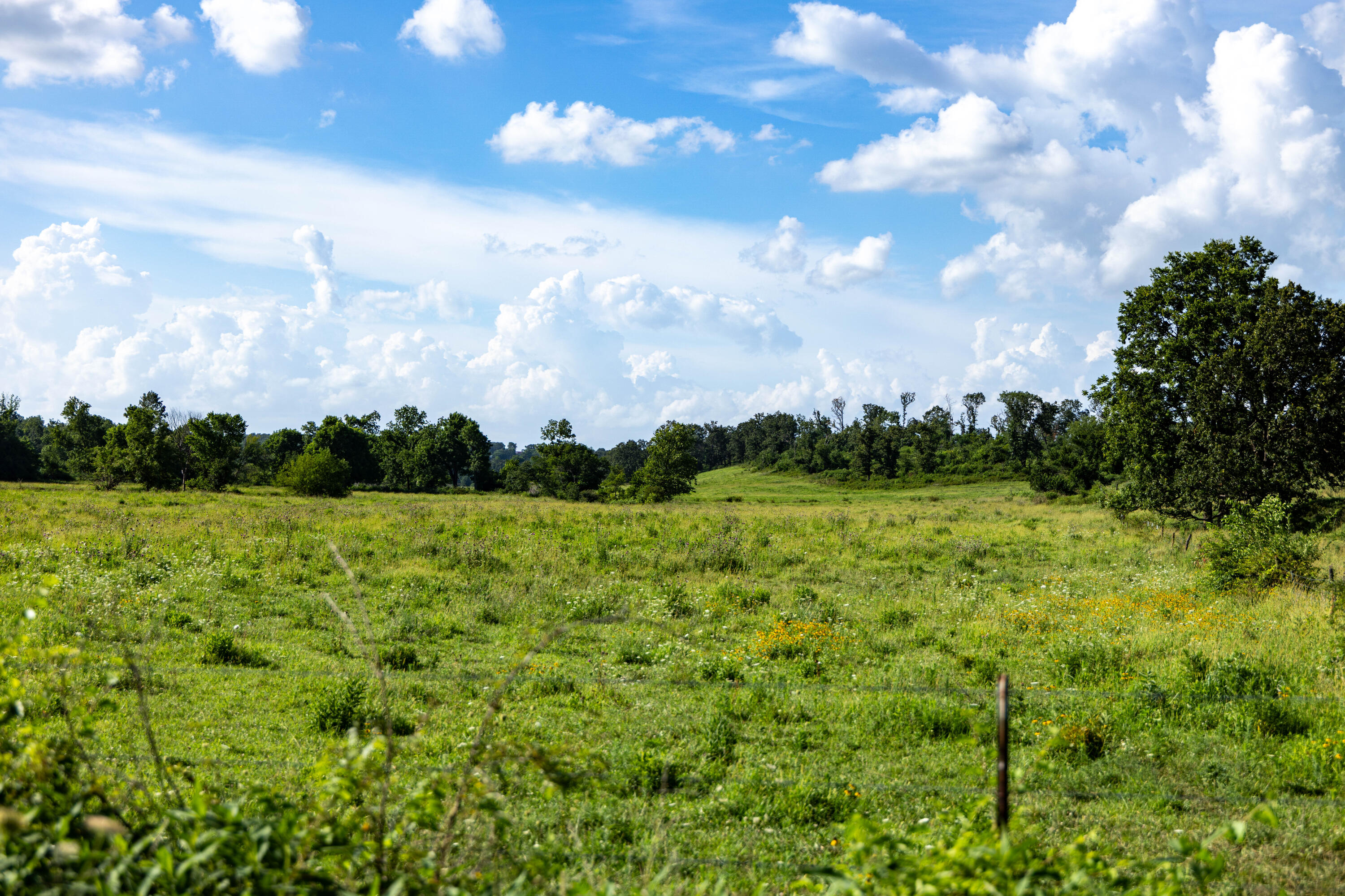Photo 179 - Farm for sale – 16406  Lawrence 2240   Verona, MO