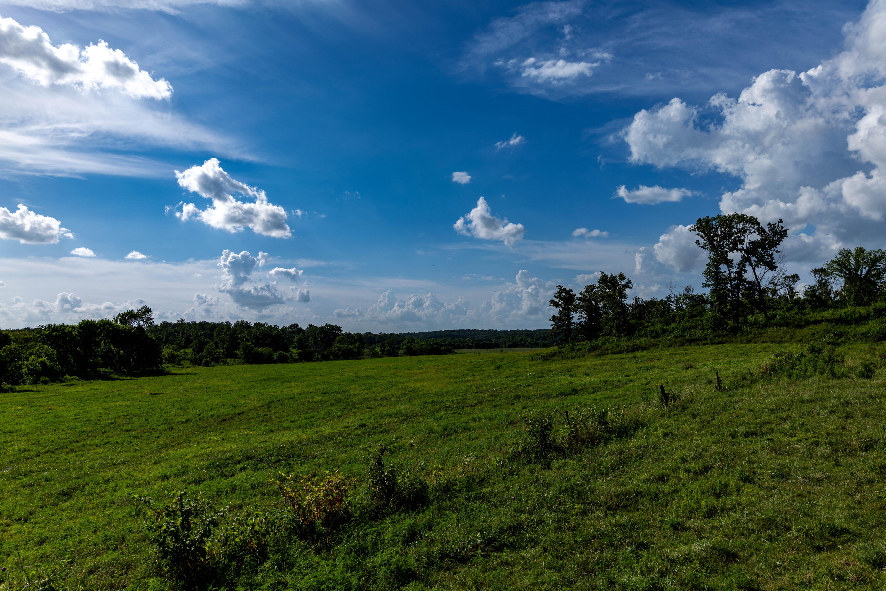 Photo 78 - Farm for sale – 16406  Lawrence 2240   Verona, MO