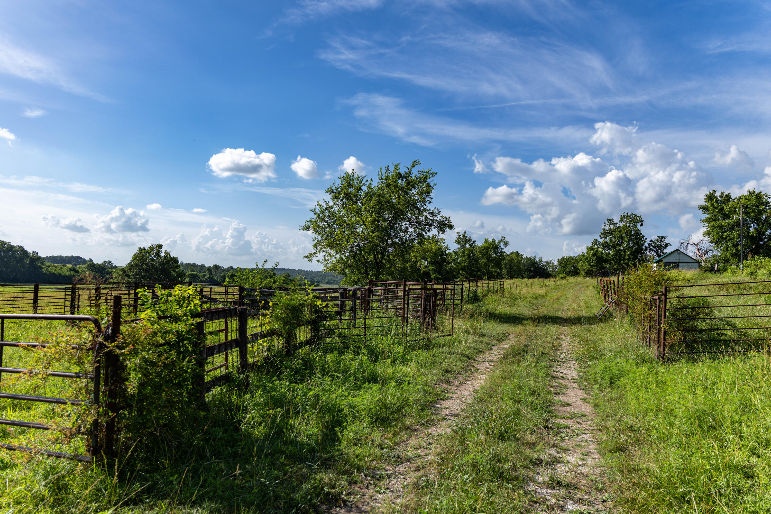 Photo 152 - Farm for sale – 16406  Lawrence 2240   Verona, MO