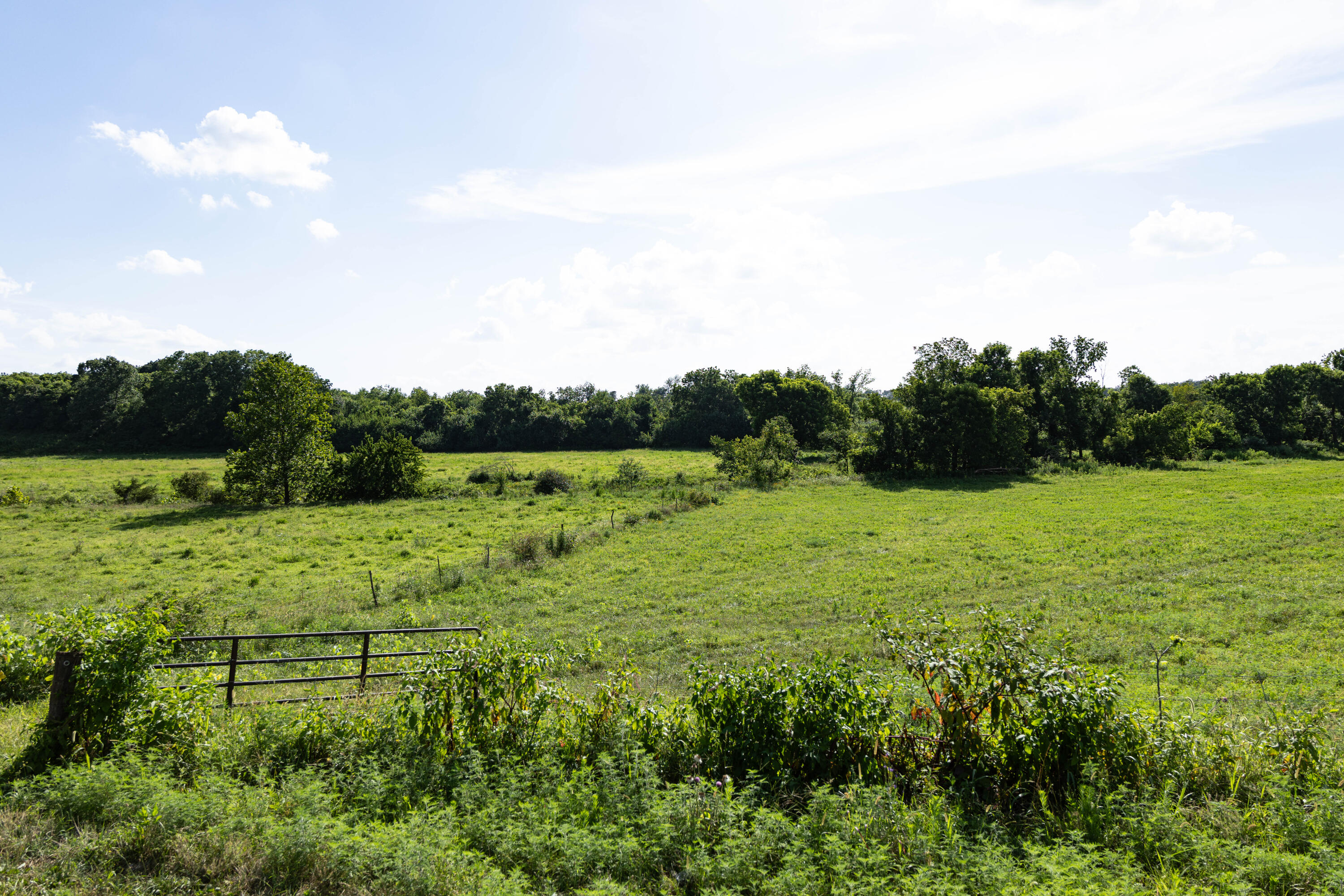 Photo 86 - Farm for sale – 16406  Lawrence 2240   Verona, MO