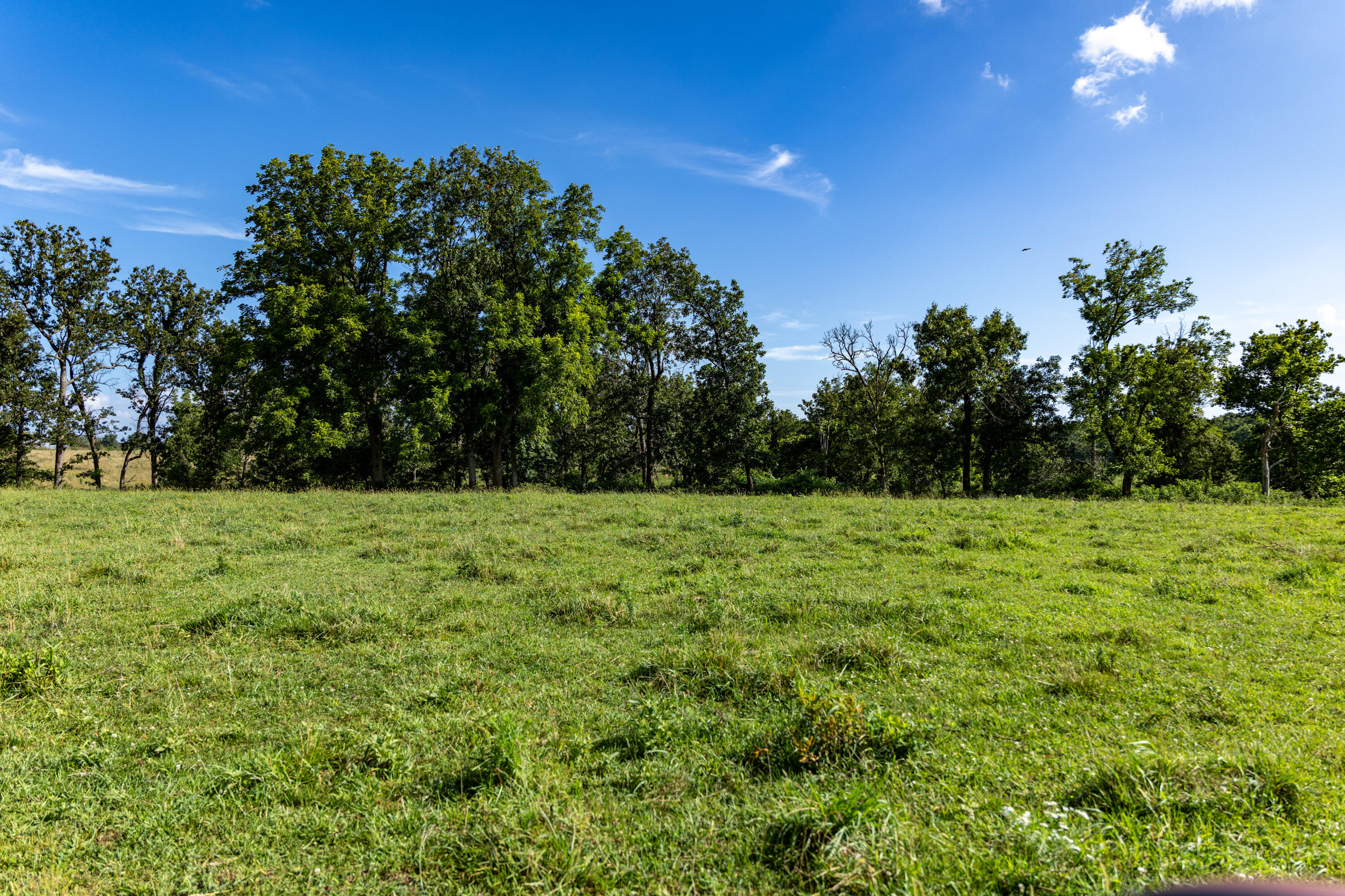 Photo 74 - Farm for sale – 16406  Lawrence 2240   Verona, MO