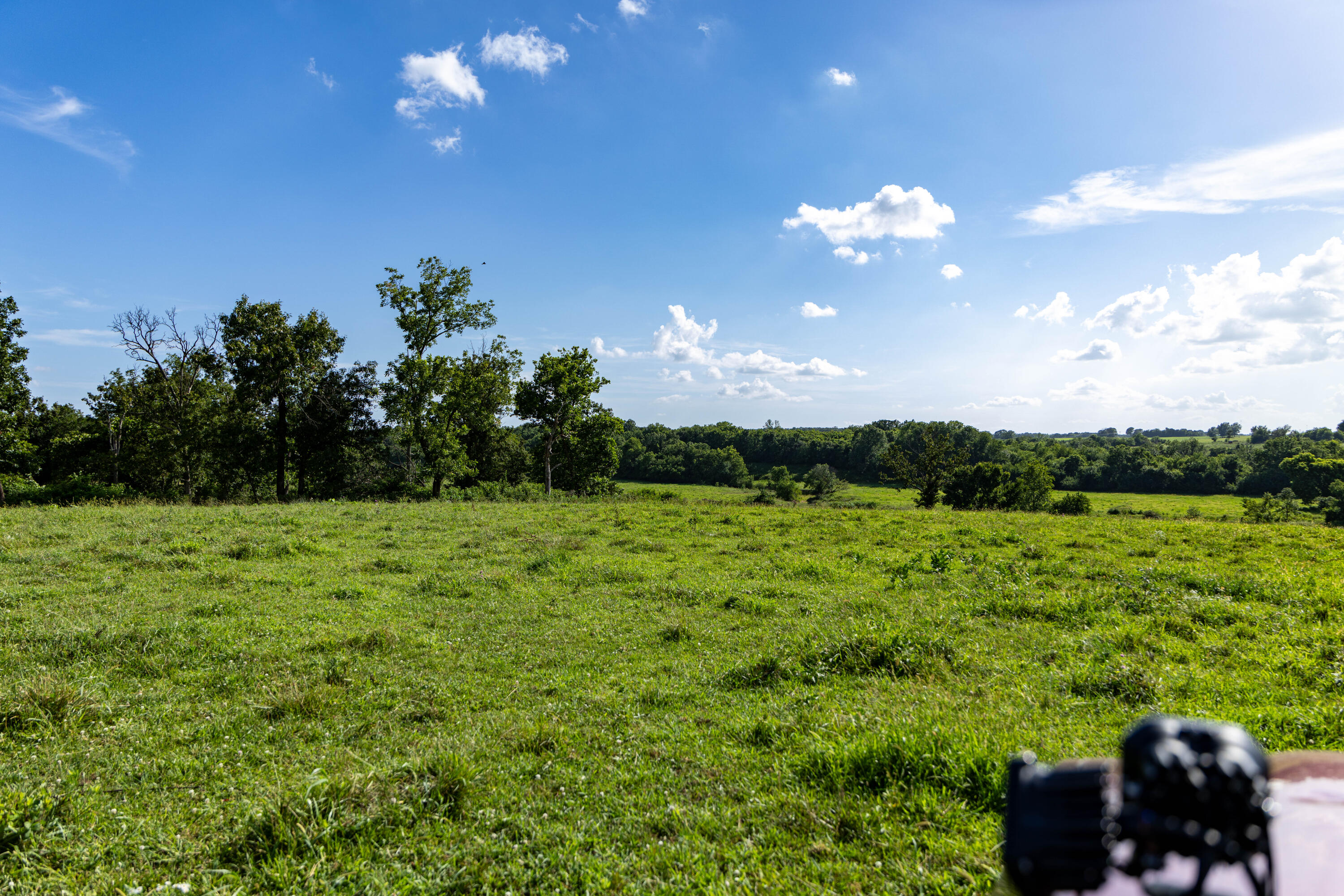 Photo 76 - Farm for sale – 16406  Lawrence 2240   Verona, MO