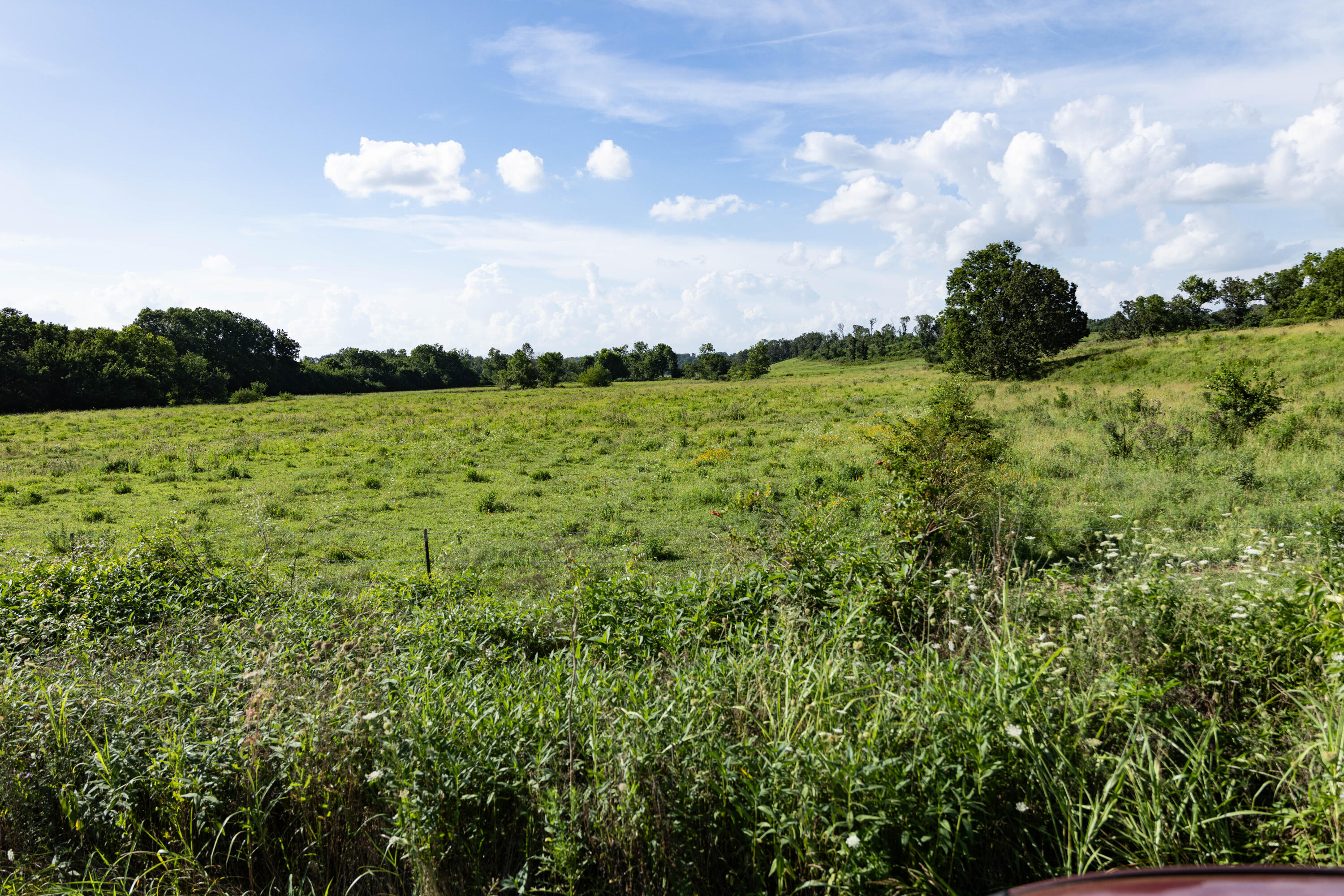 Photo 158 - Farm for sale – 16406  Lawrence 2240   Verona, MO