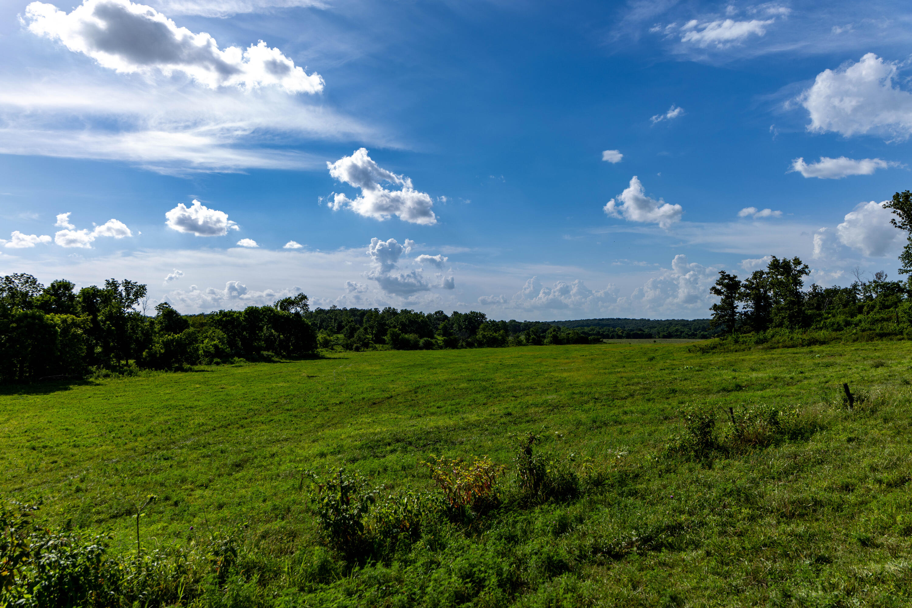 Photo 79 - Farm for sale – 16406  Lawrence 2240   Verona, MO