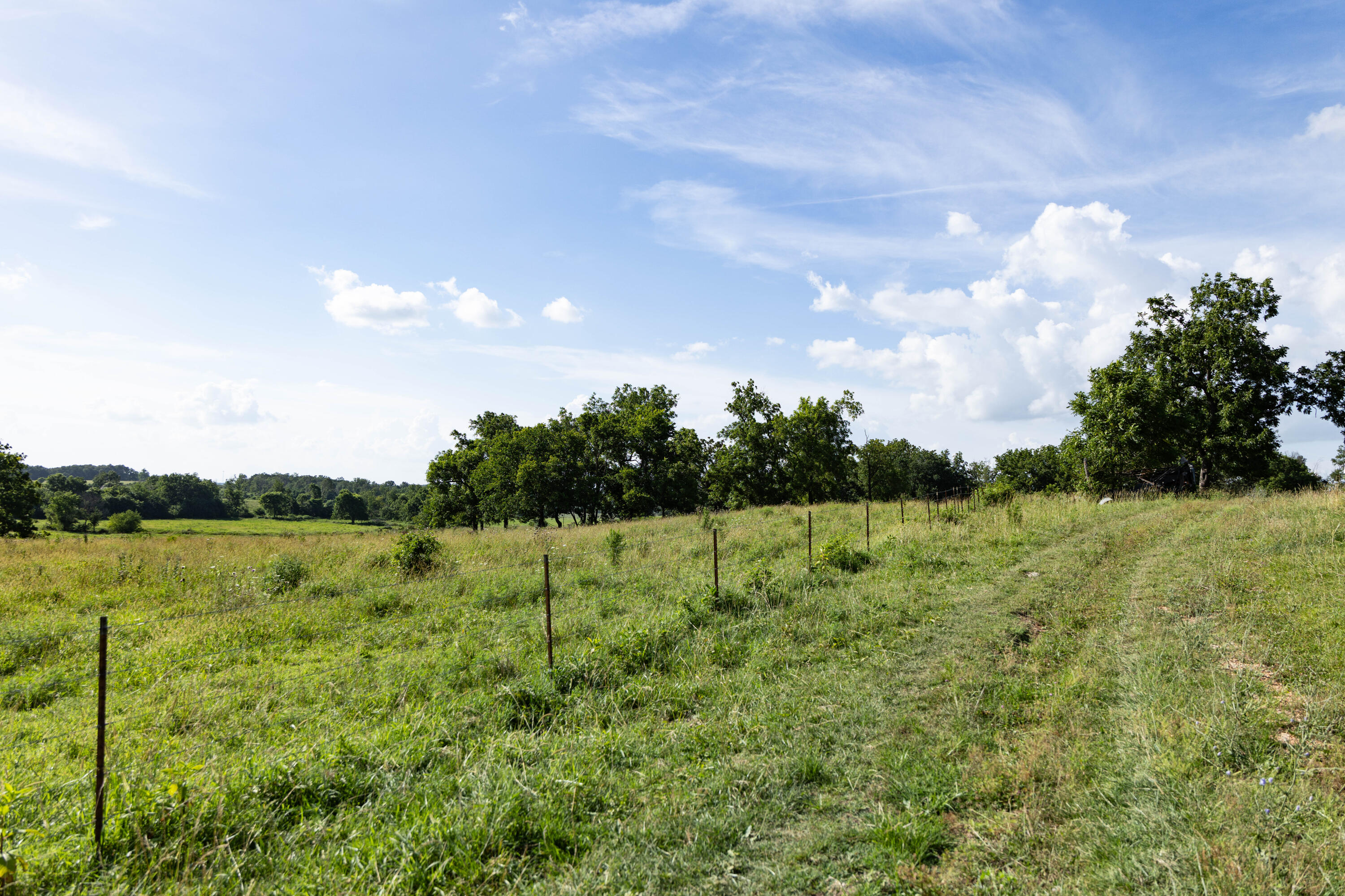 Photo 135 - Farm for sale – 16406  Lawrence 2240   Verona, MO