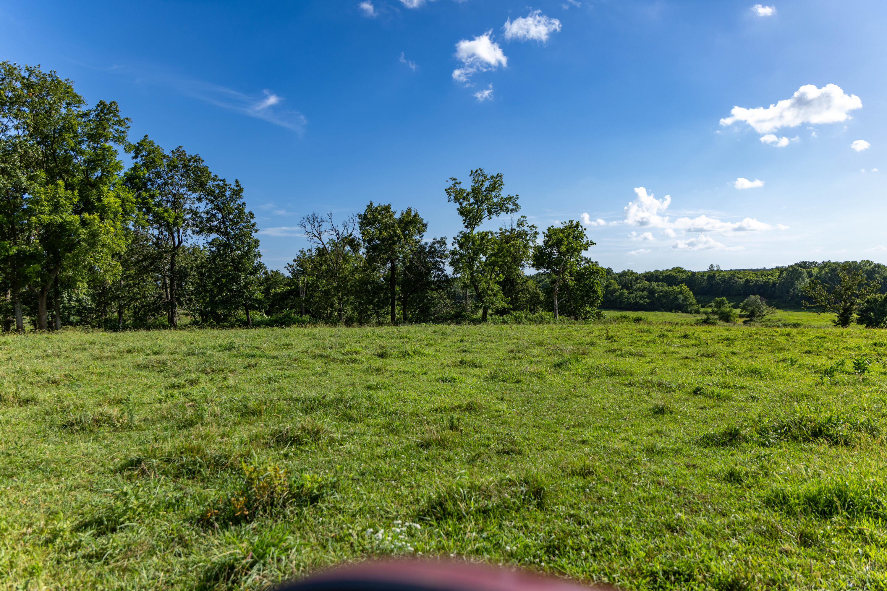Photo 75 - Farm for sale – 16406  Lawrence 2240   Verona, MO