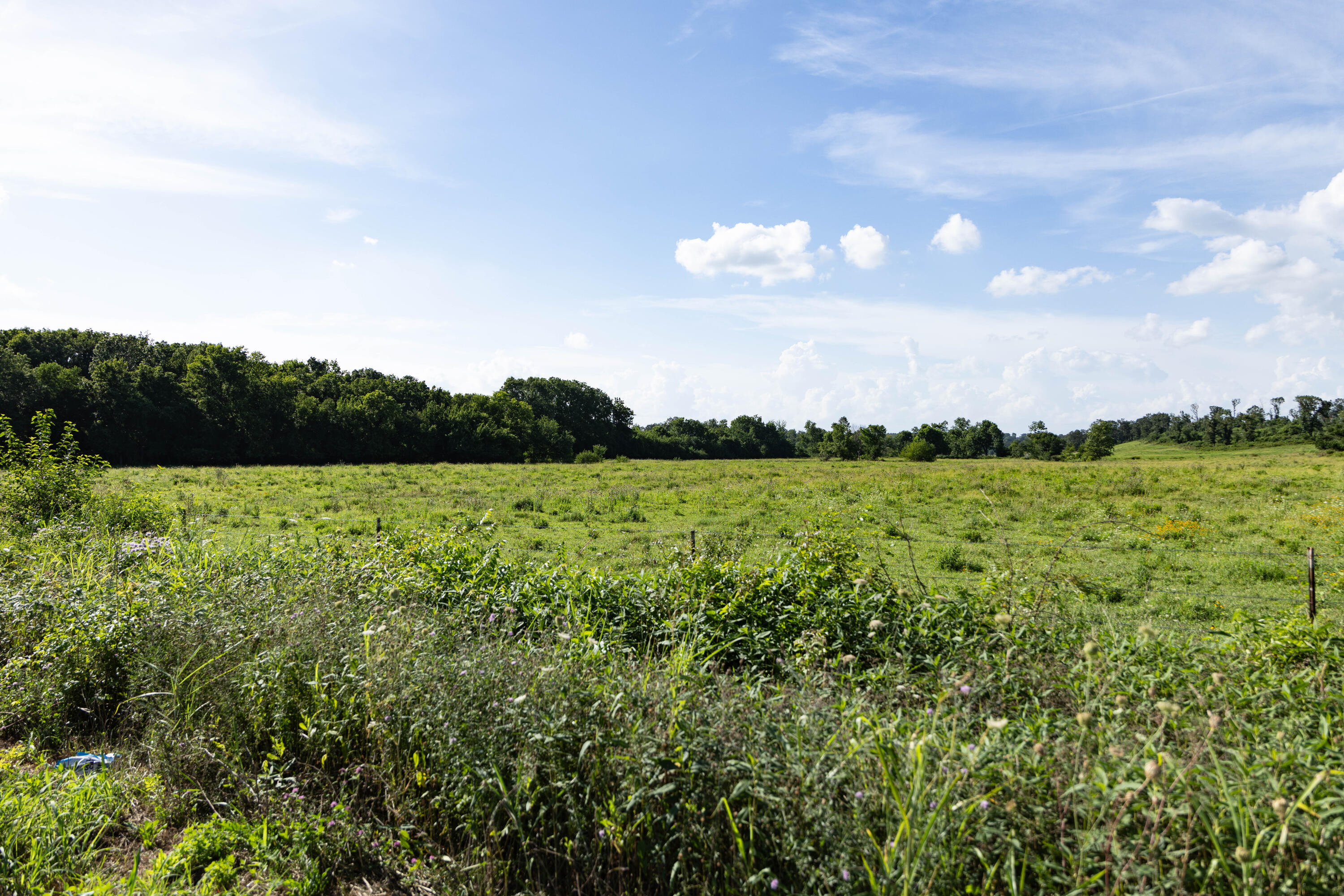 Photo 163 - Farm for sale – 16406  Lawrence 2240   Verona, MO