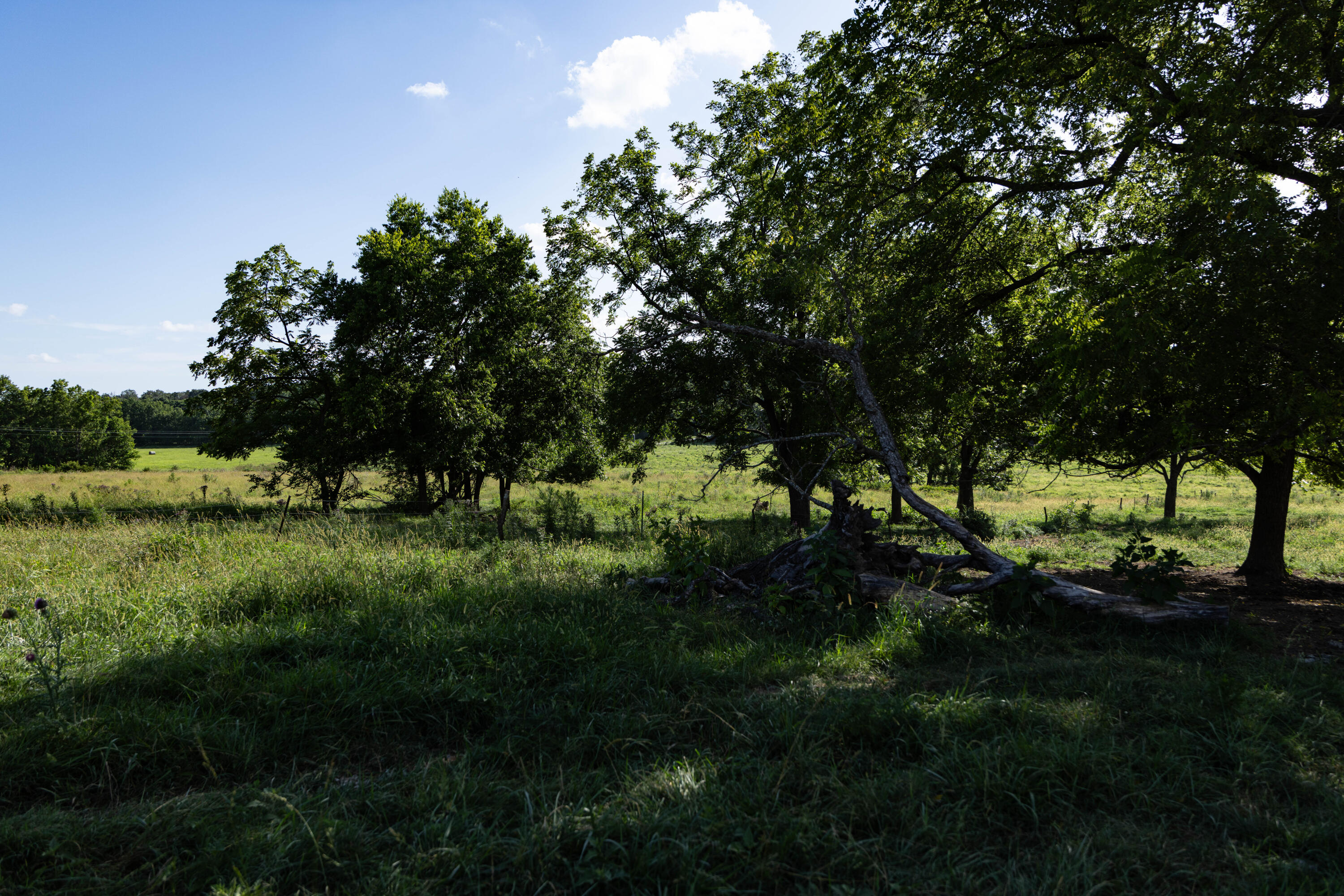 Photo 117 - Farm for sale – 16406  Lawrence 2240   Verona, MO