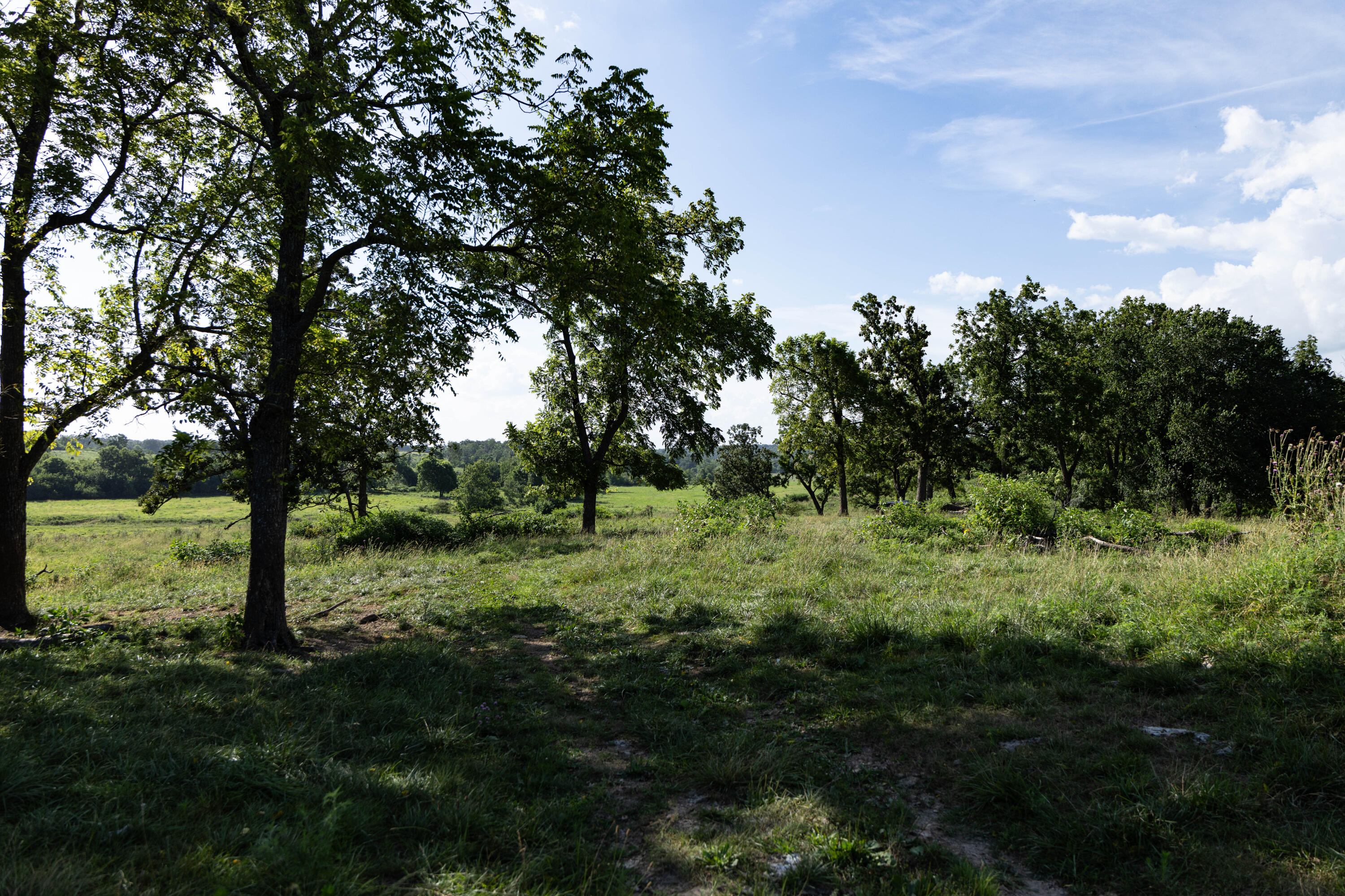 Photo 108 - Farm for sale – 16406  Lawrence 2240   Verona, MO