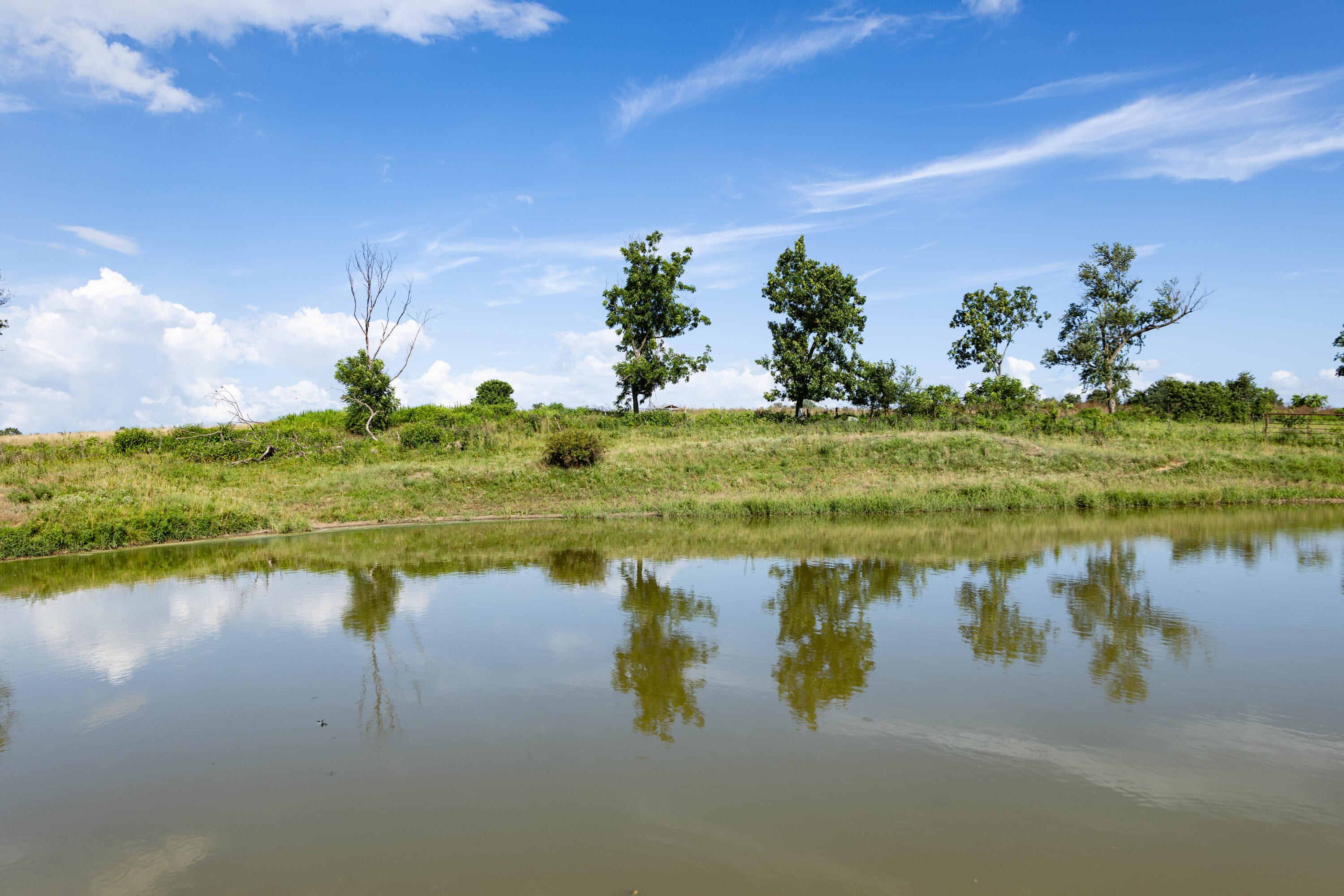 Photo 101 - Farm for sale – 16406  Lawrence 2240   Verona, MO